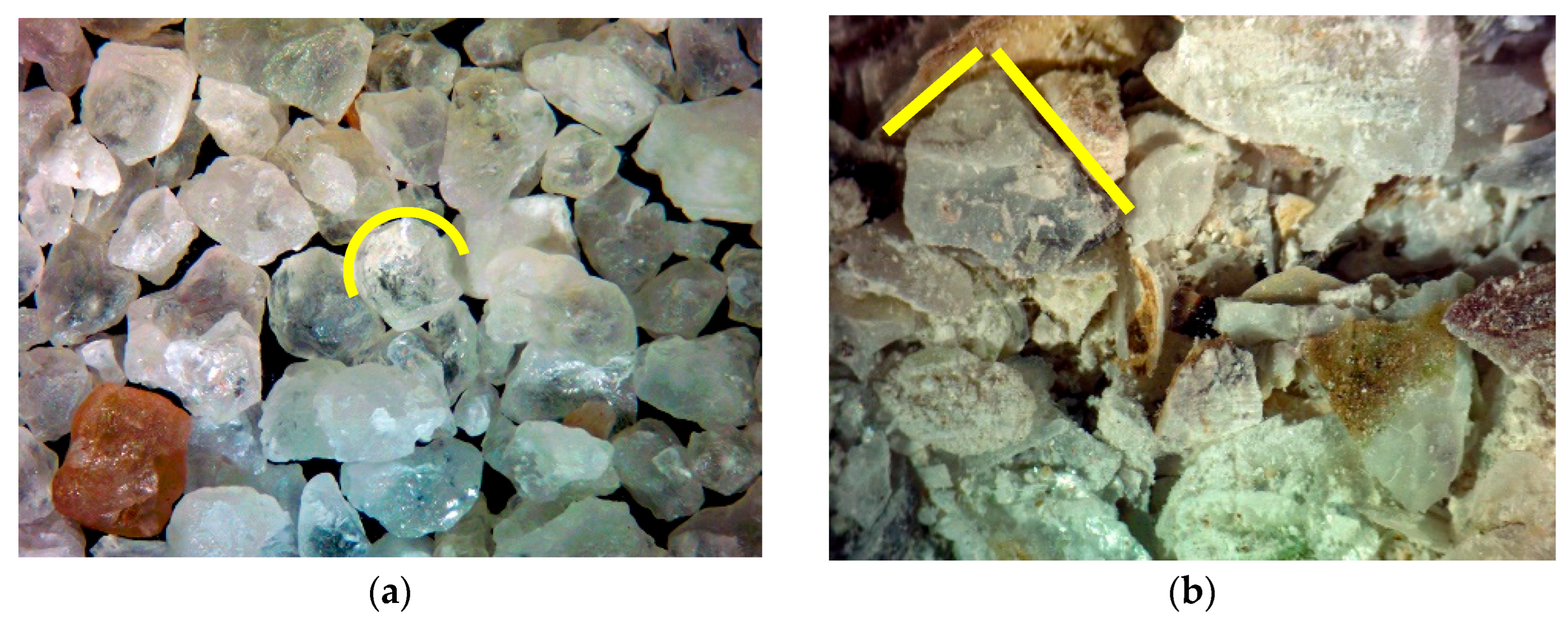 Re-Valorizing Oyster-Shell Waste in Natural Hydraulic Lime-Based ...