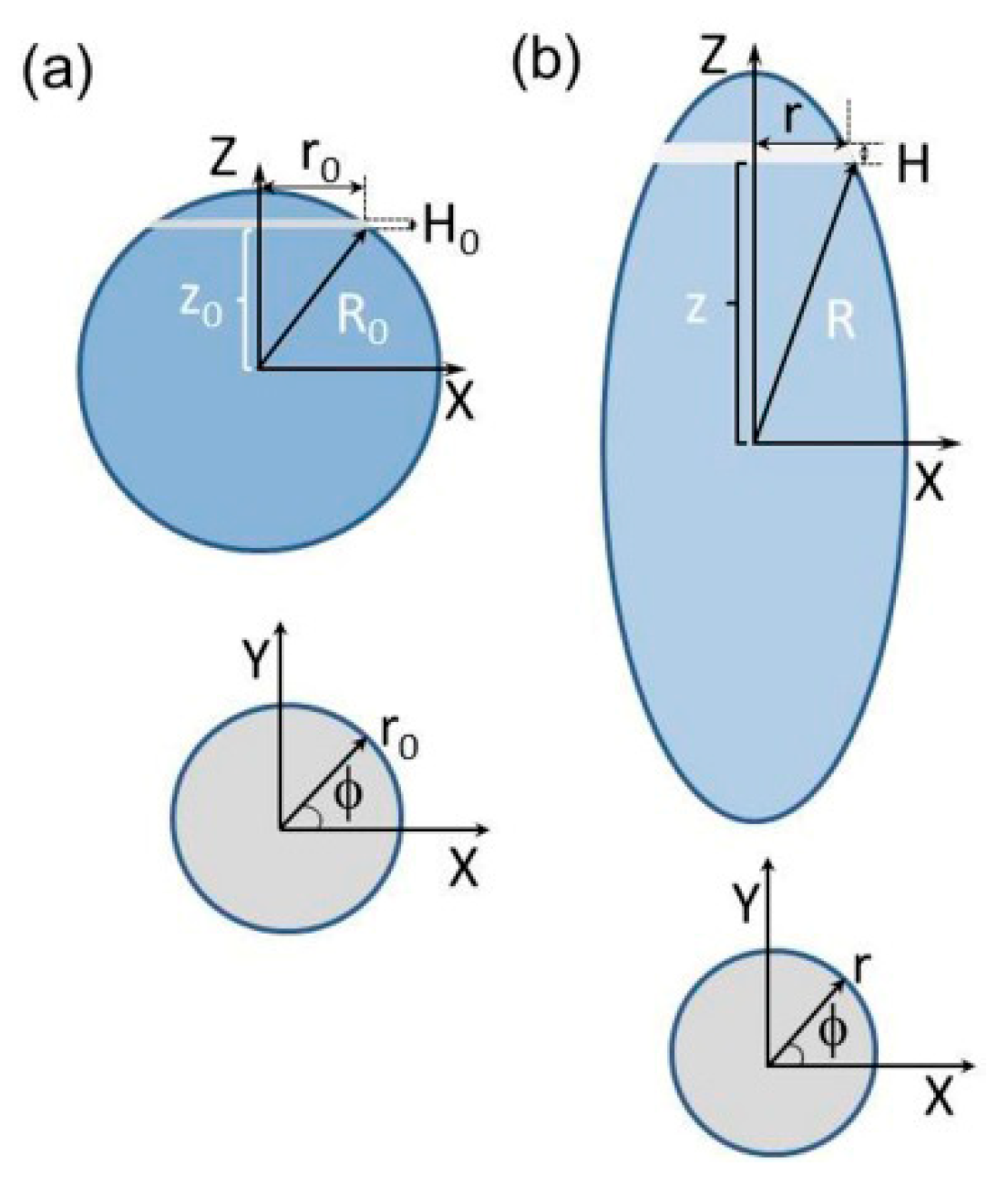 Problloid Shape Polymer Prolate Spheroids, Ellipsoids, and Their Assemblies at ...