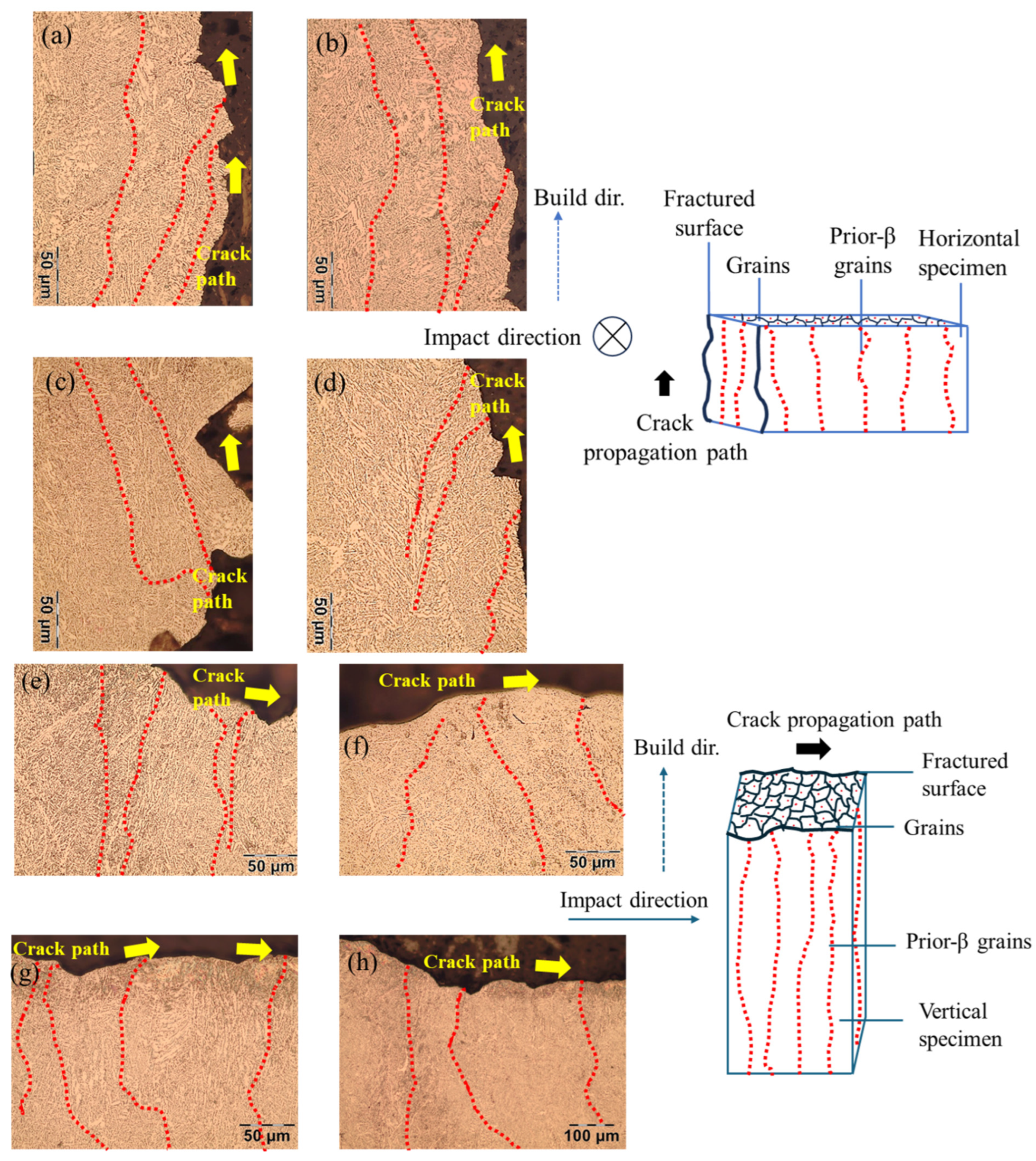 An Analysis of Notch Toughness of Electron Beam Powder Bed Fused (EB ...