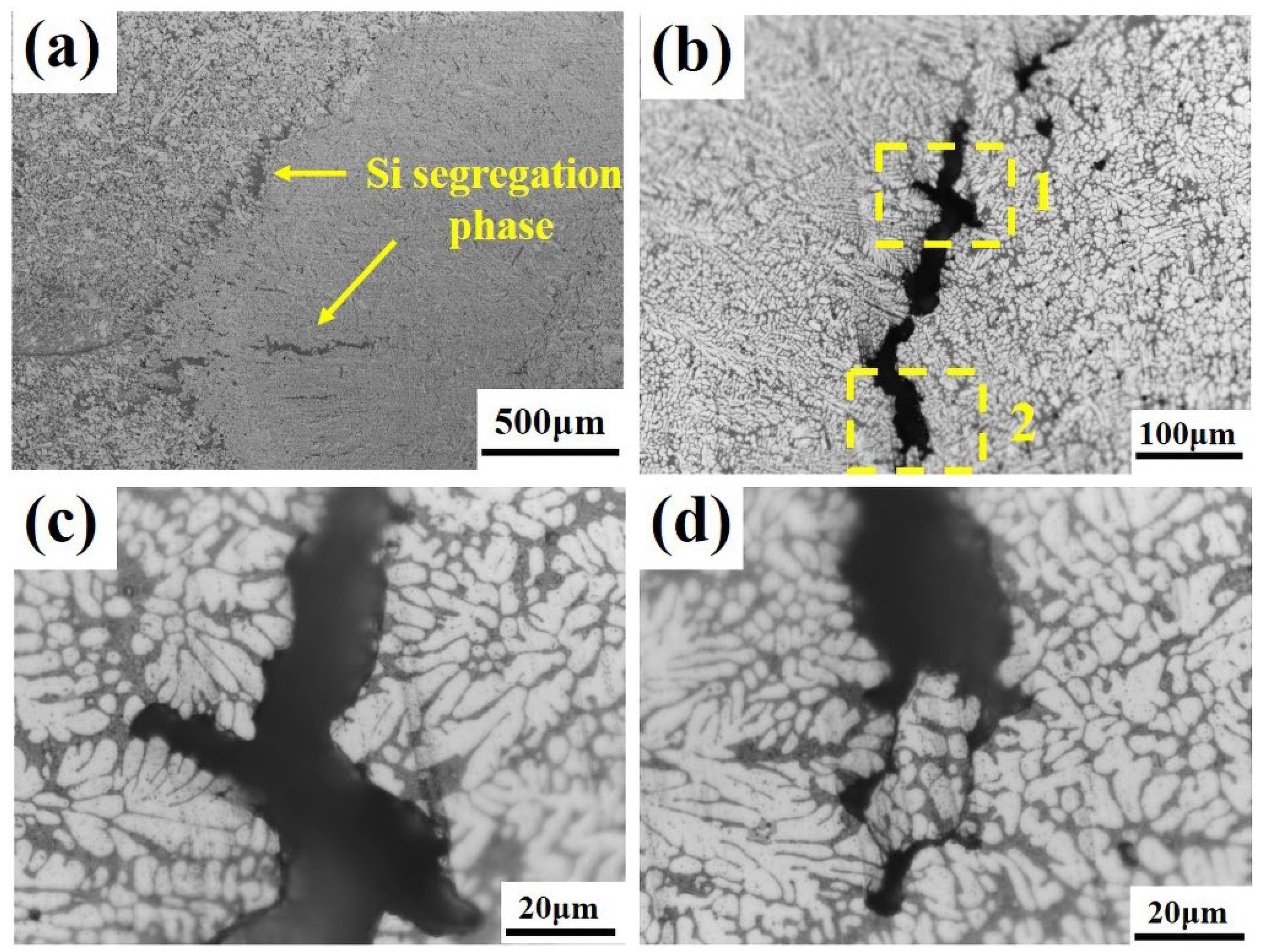The Role of Element Segregation in the Fracture Mechanism and ...