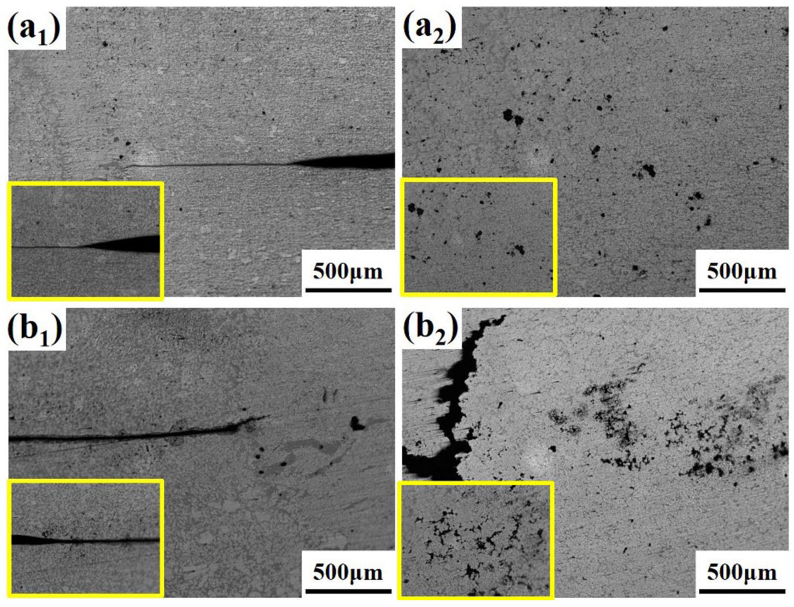 The Role of Element Segregation in the Fracture Mechanism and ...