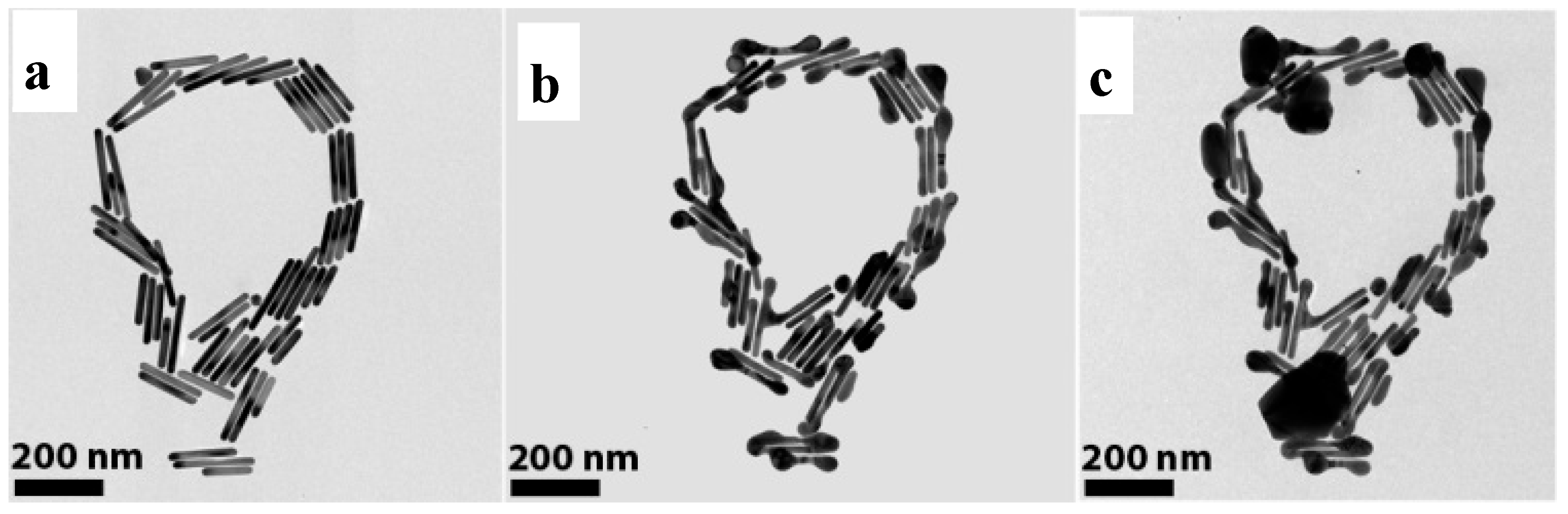Chemical Fusion of Gold Nanorods into Continuous Ring Nanostructures