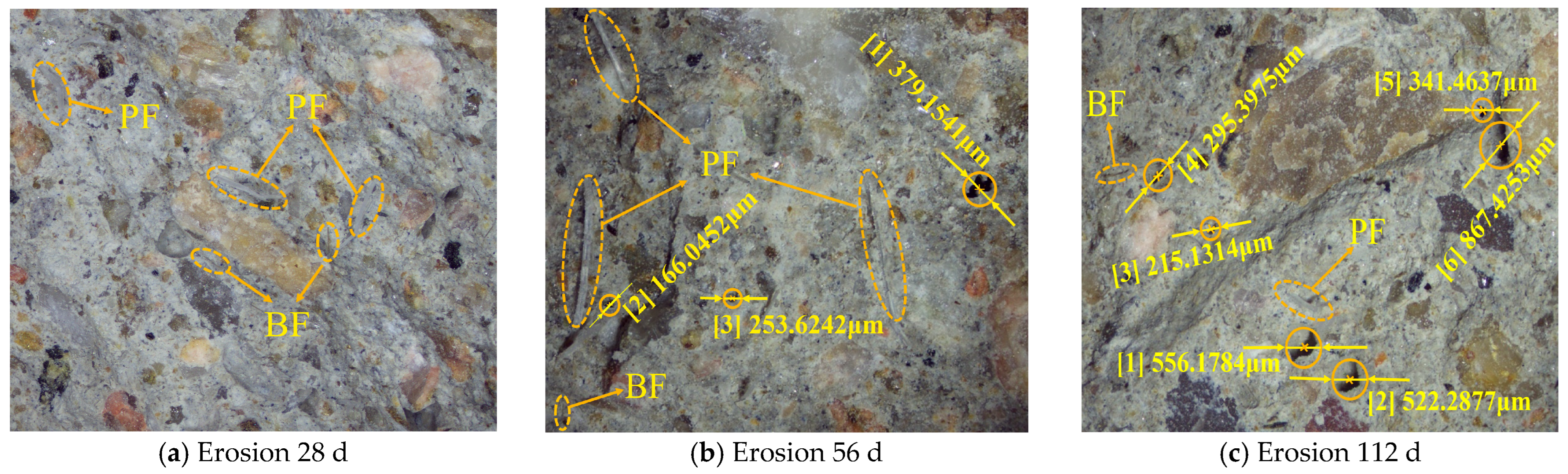 Effect of Hybrid Fiber on the Chloride Salt Erosion Resistance of Shotcrete