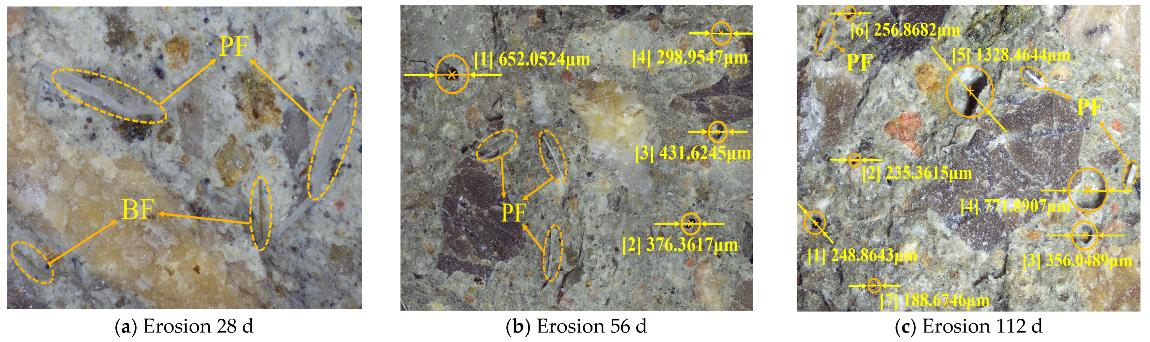 Effect of Hybrid Fiber on the Chloride Salt Erosion Resistance of Shotcrete