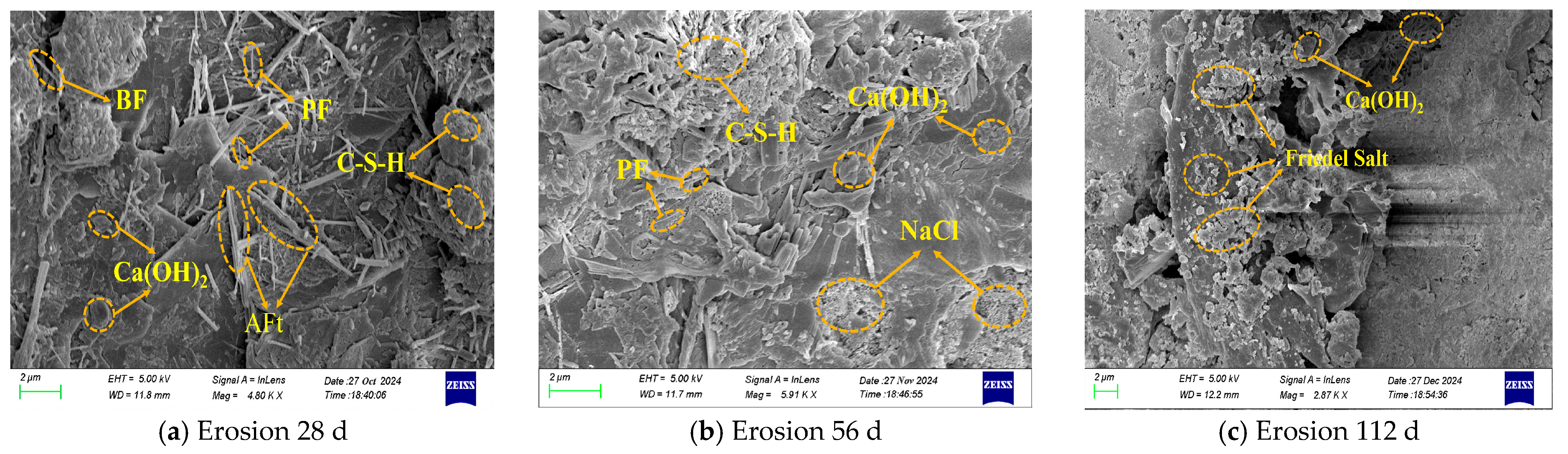 Effect of Hybrid Fiber on the Chloride Salt Erosion Resistance of Shotcrete