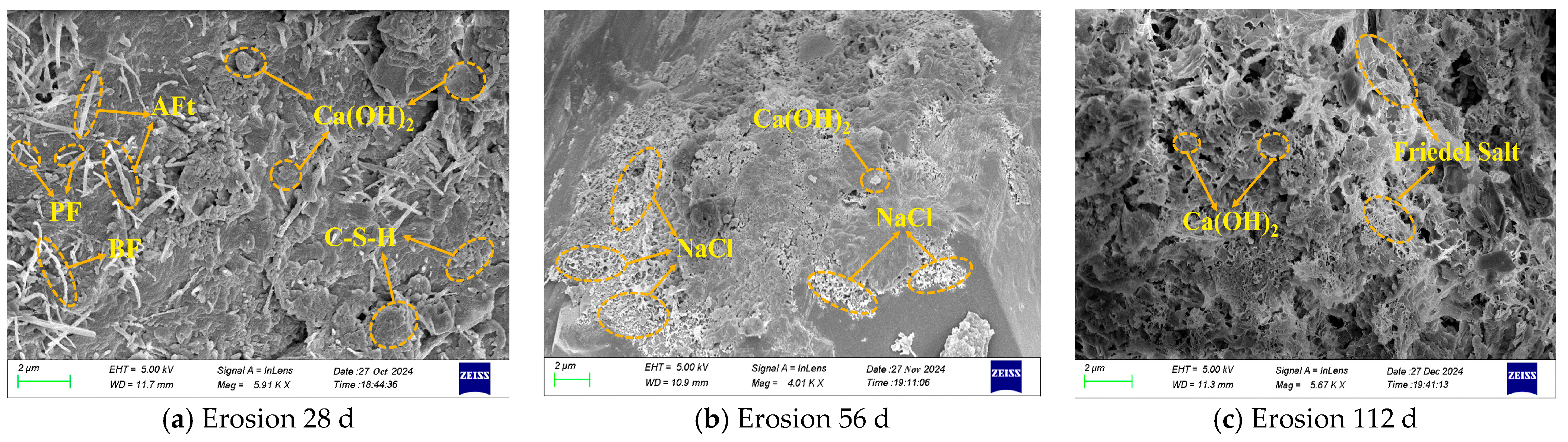 Effect of Hybrid Fiber on the Chloride Salt Erosion Resistance of Shotcrete