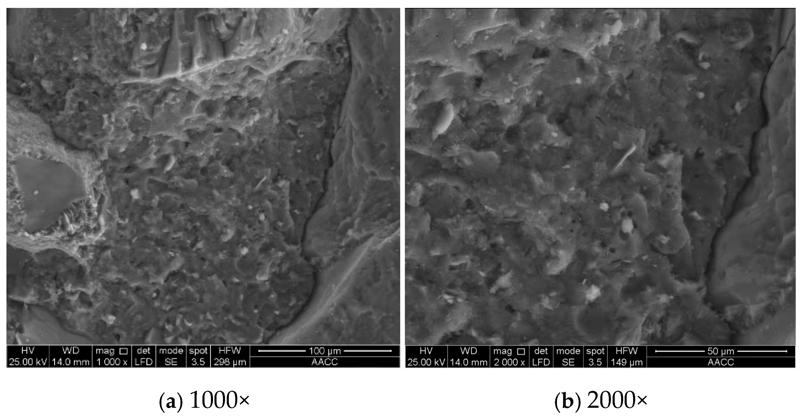Degradation Mechanism of Mechanical Properties of Concrete in a High ...