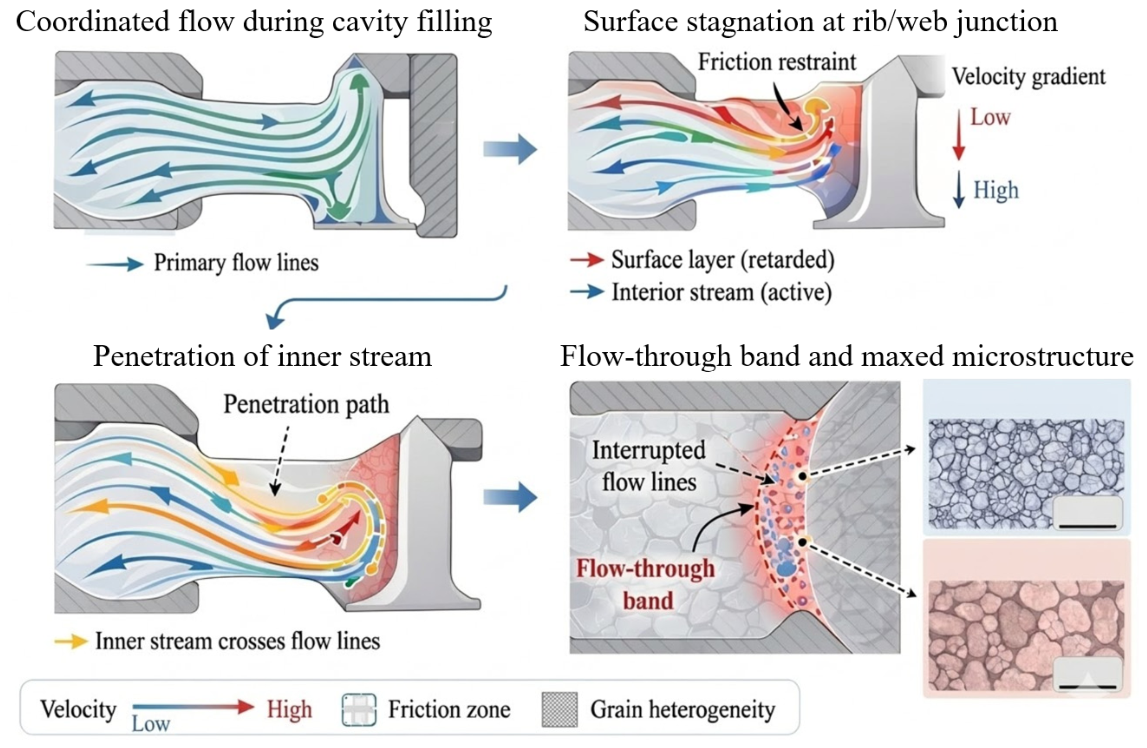 Flow-Line Evolution, Defect Formation, and Structure–Property ...