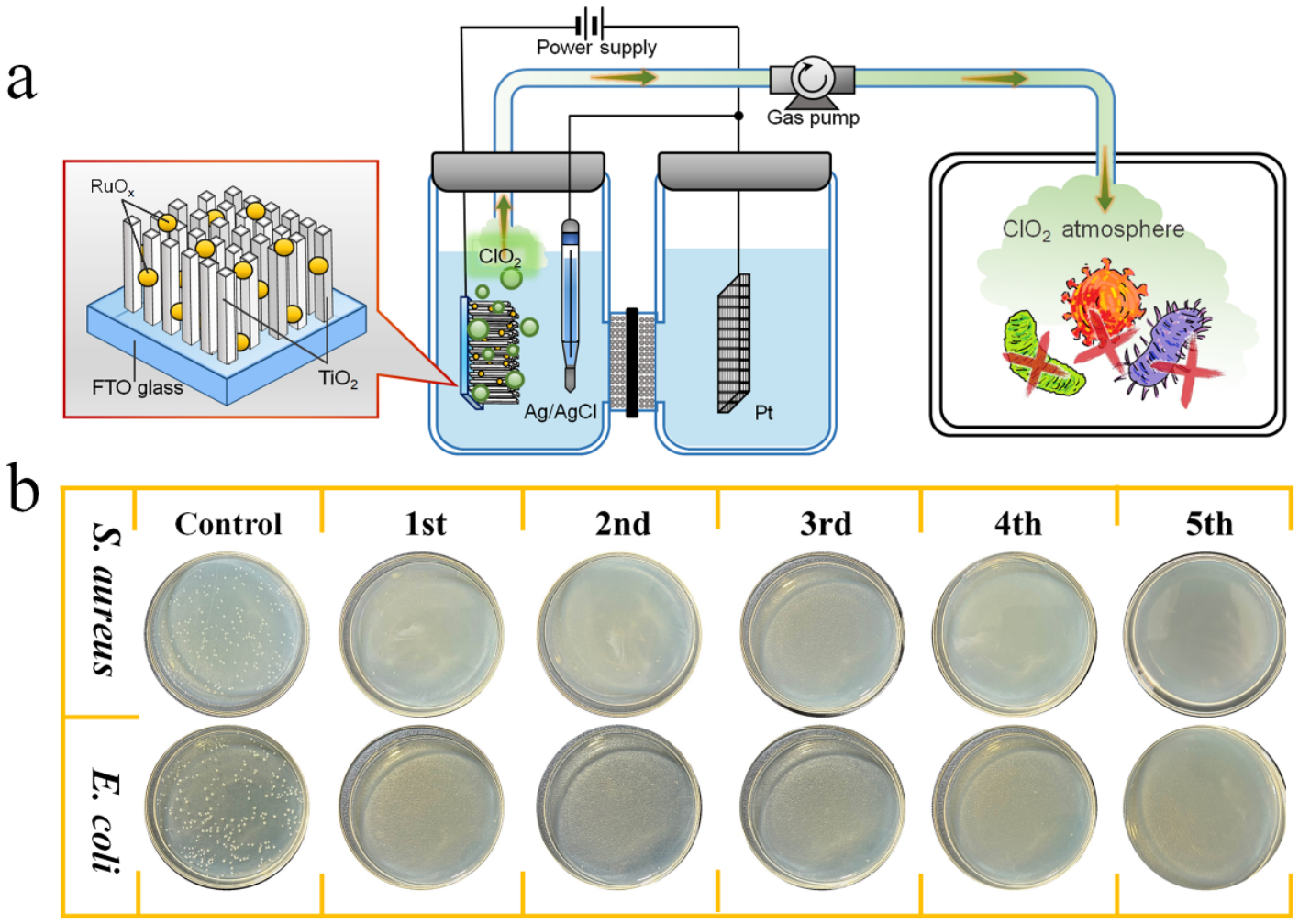 Clo2 R8 System An Electrochemical System for Gaseous ClO2 Generation Using TiO2 ...