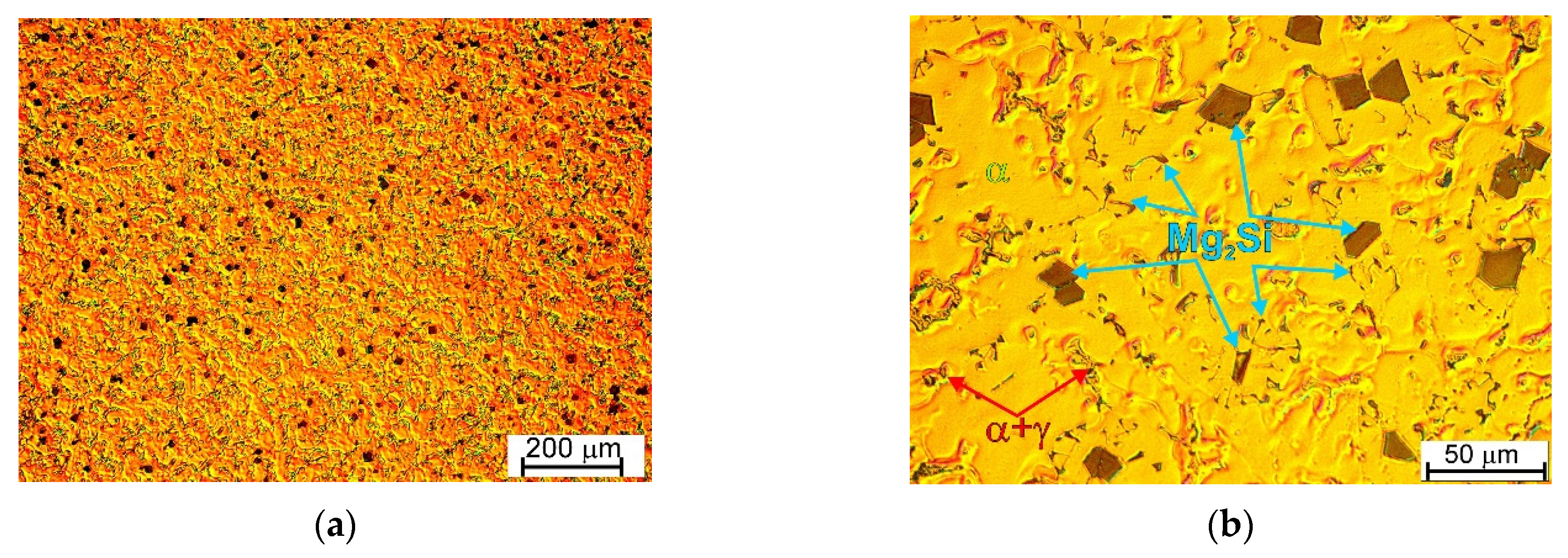 Study of Phase Composition and Mechanical Properties of AM50 Magnesium ...
