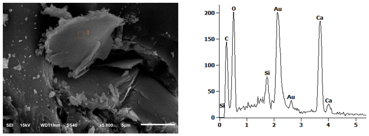 Corrosion Behavior and Deterioration Mechanism of Ecological Concrete ...