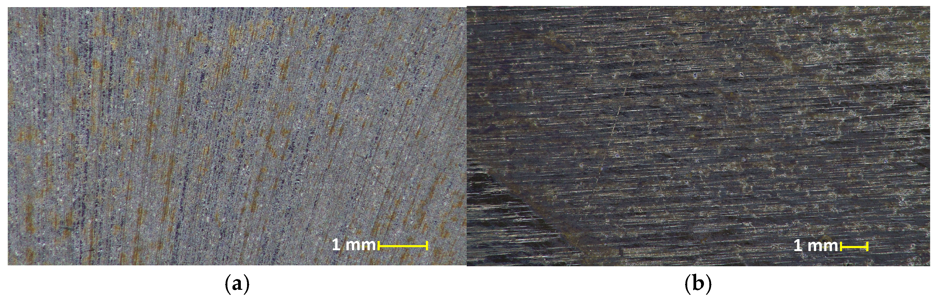 Ultrasonic Evaluation of the Adhesion Between Regenerative Coatings and ...
