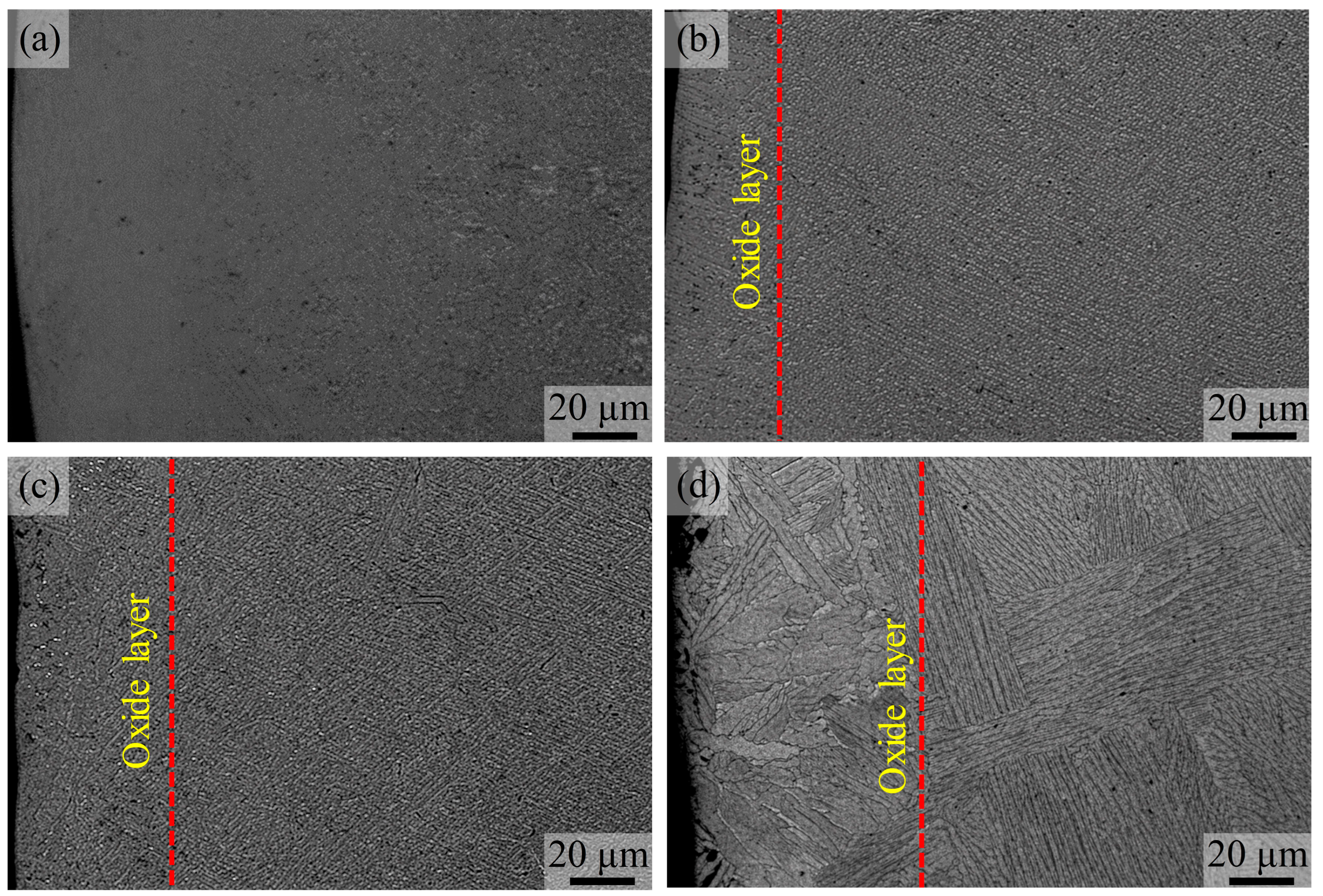 Effects of Ambient Oxygen Concentration on Microstructural Evolution ...