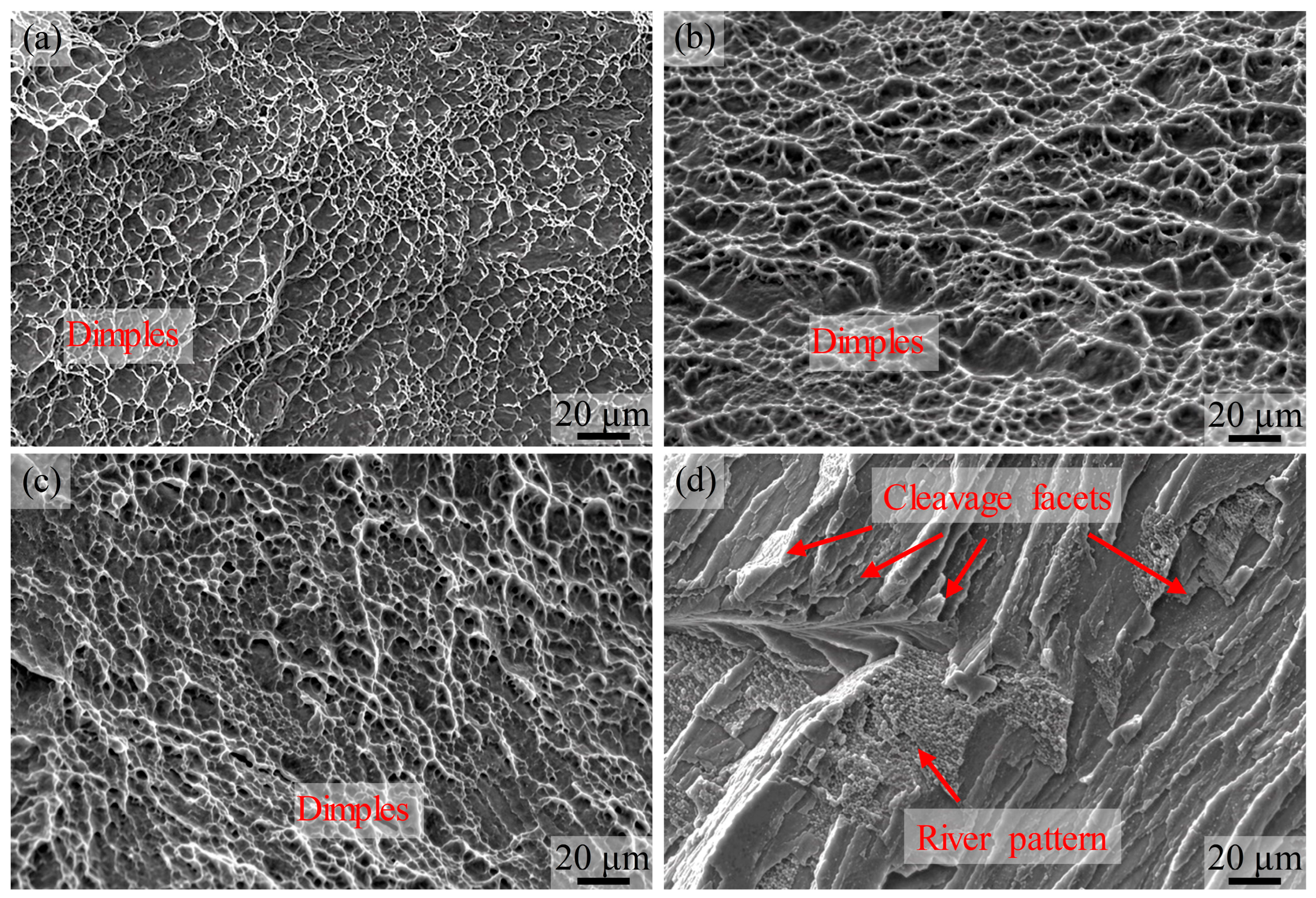 Effects of Ambient Oxygen Concentration on Microstructural Evolution ...