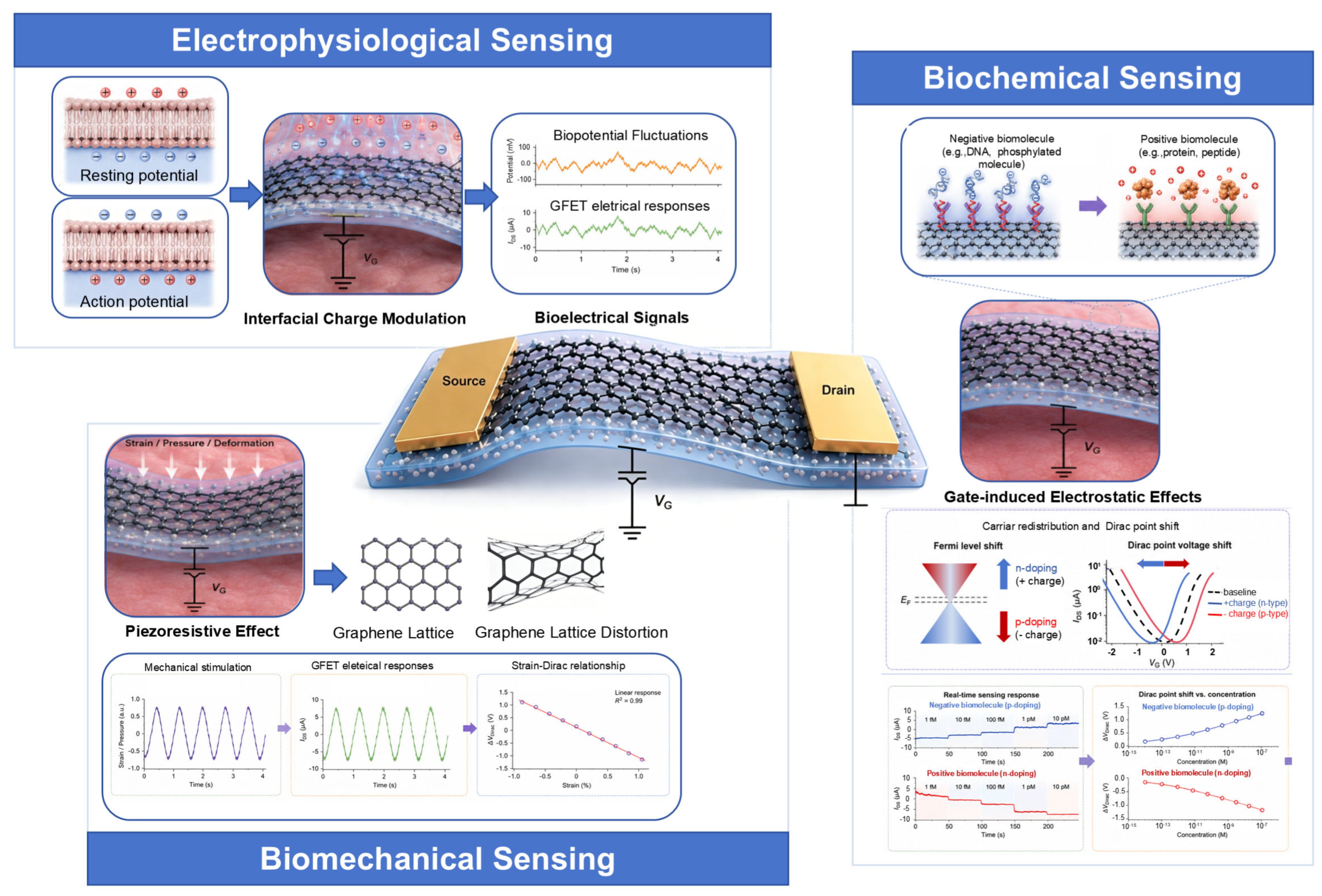 The Application of Flexible Graphene Field-Effect Transistor Sensors in ...