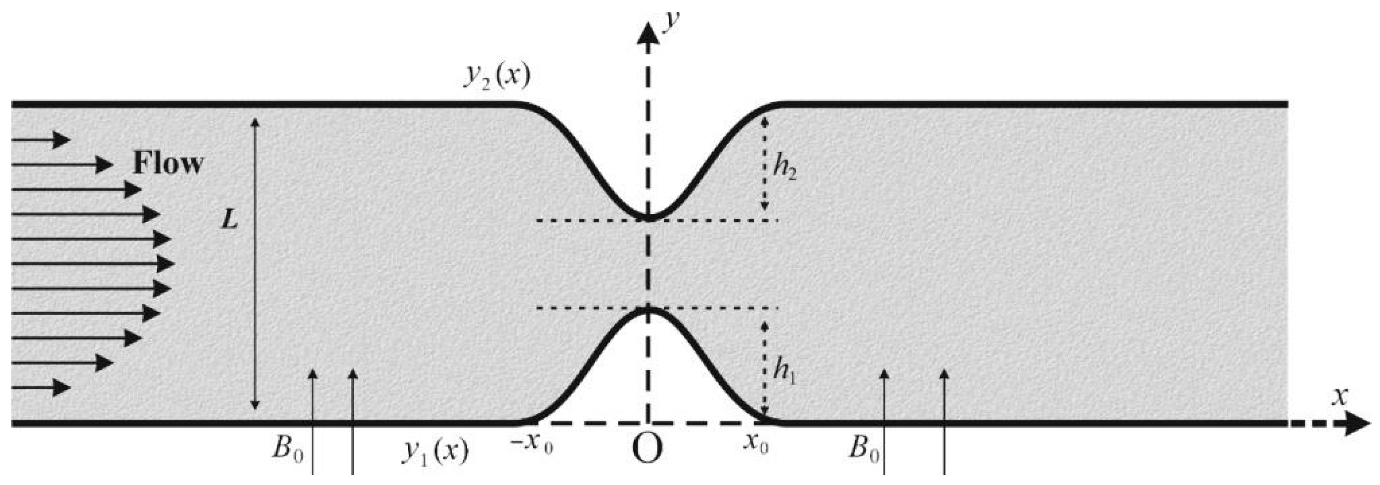 Numerical Investigation of MHD Pulsatile Flow of Micropolar Fluid in a ...