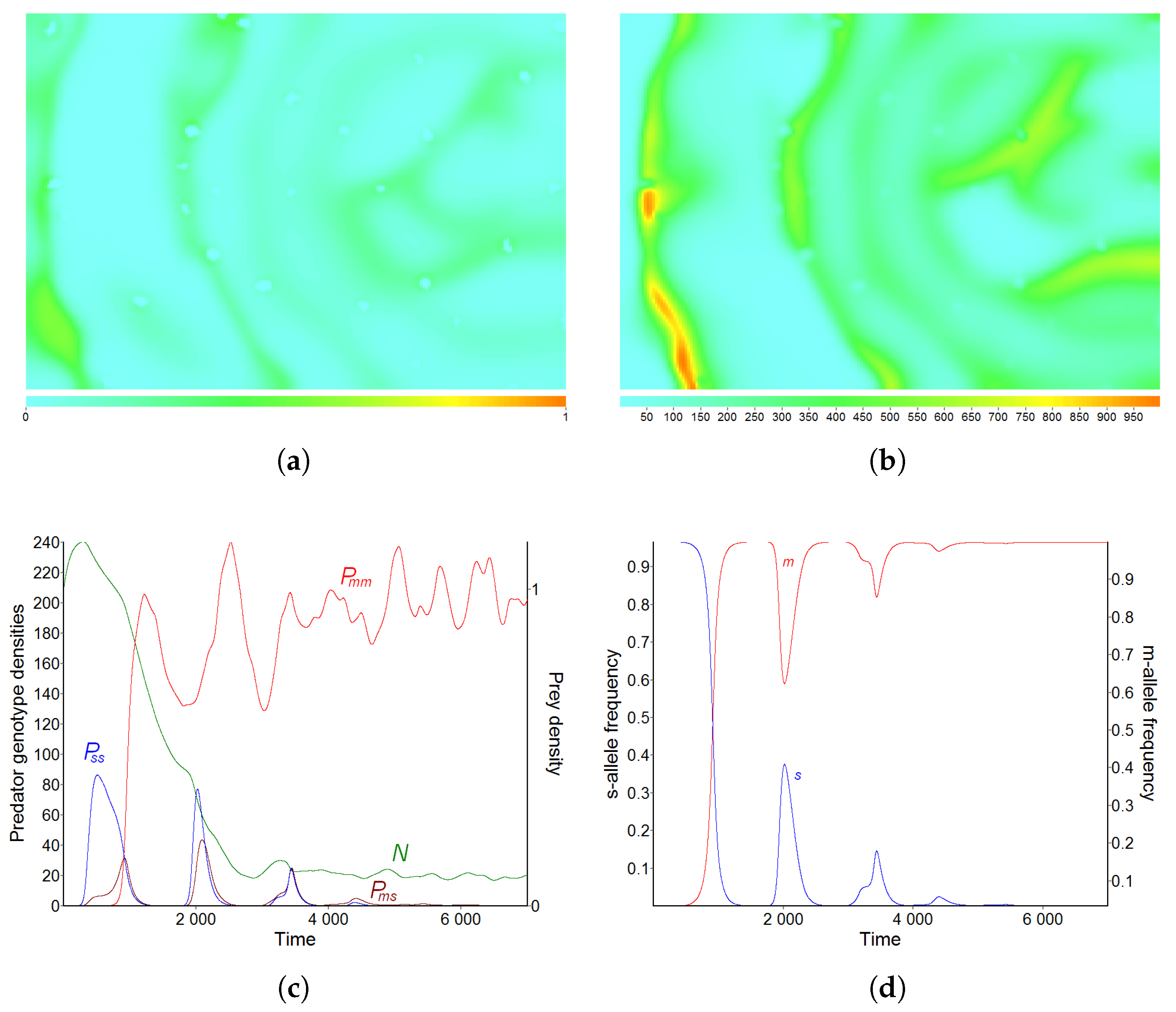 Mathematics | Free Full-Text | Spatial Demo-Genetic Predator–Prey Model