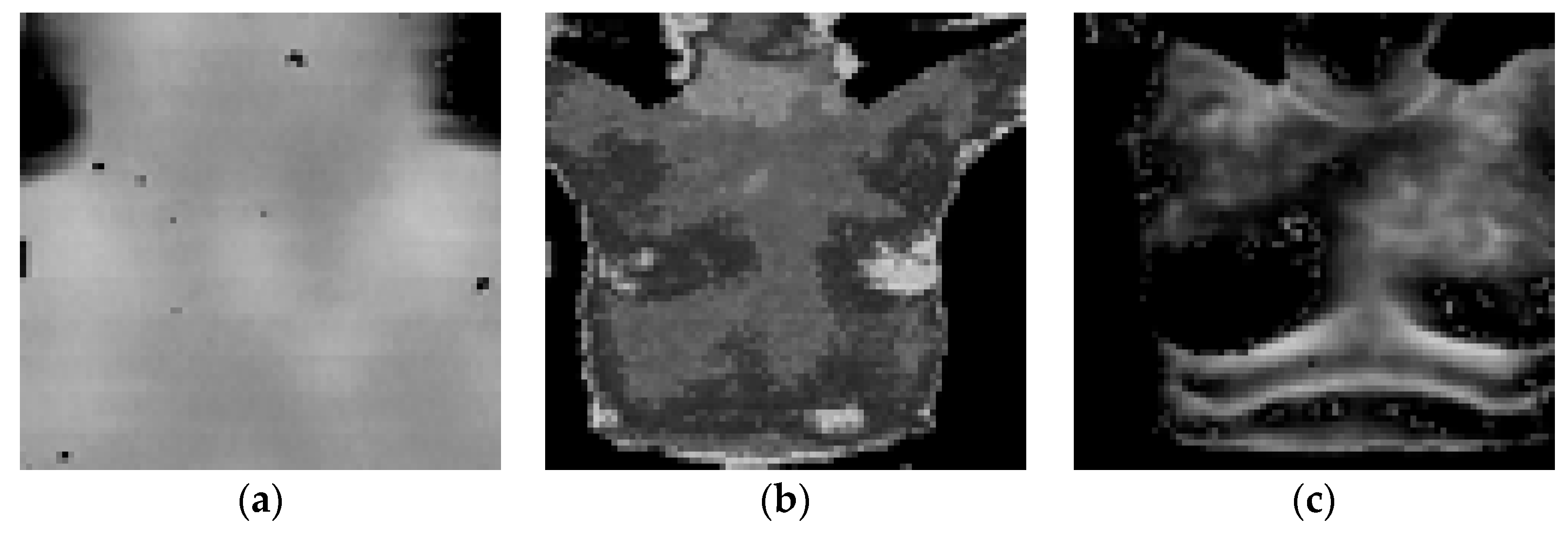 Development Parallel–Hierarchical Segmentation Method Based on ...