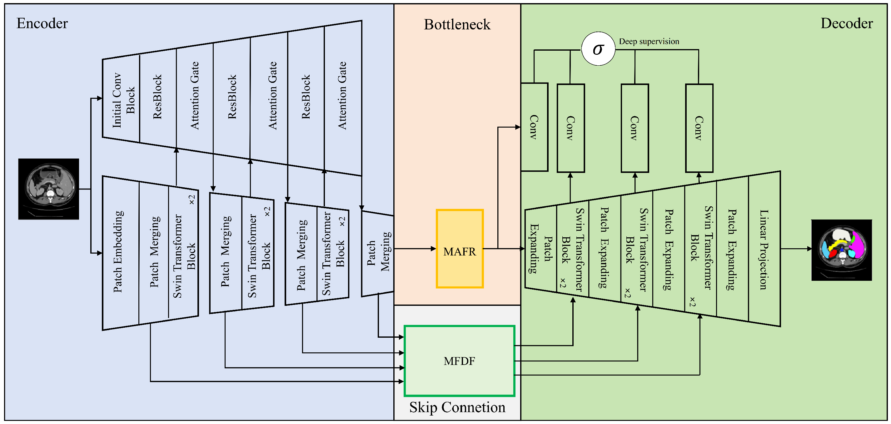 MIS-DFH: Dual-Branch Collaborative Medical Image Segmentation with Full ...