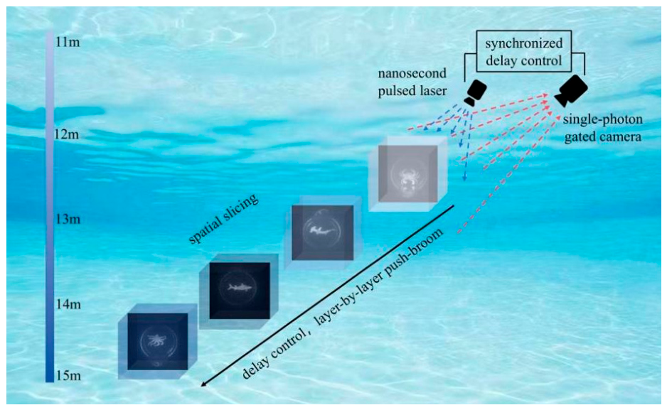 WMGNet: A Wavelet-Guided Multi-Stage Gated Enhancement Network for ...