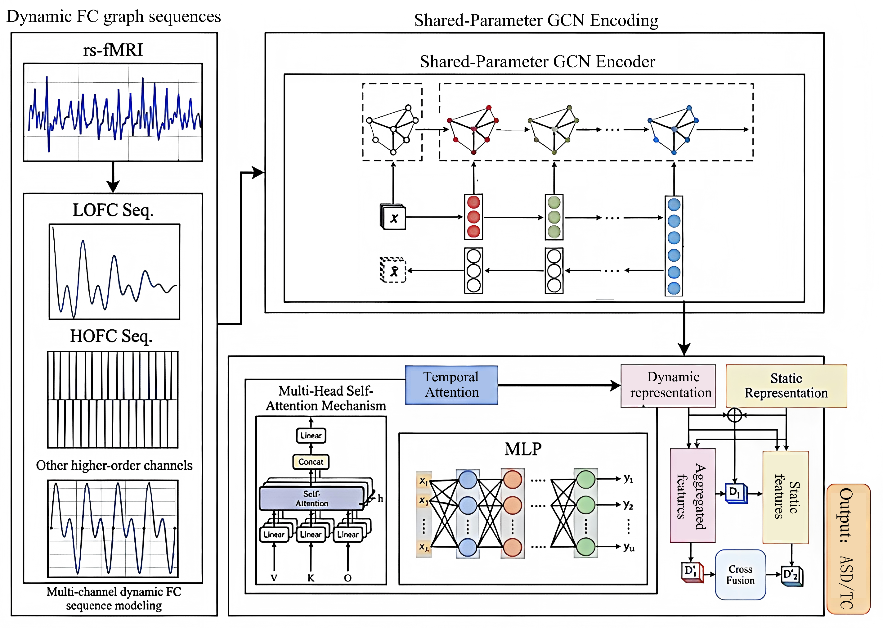 Multi-Scale Functional Connectivity and Temporal Attention- Based Brain ...