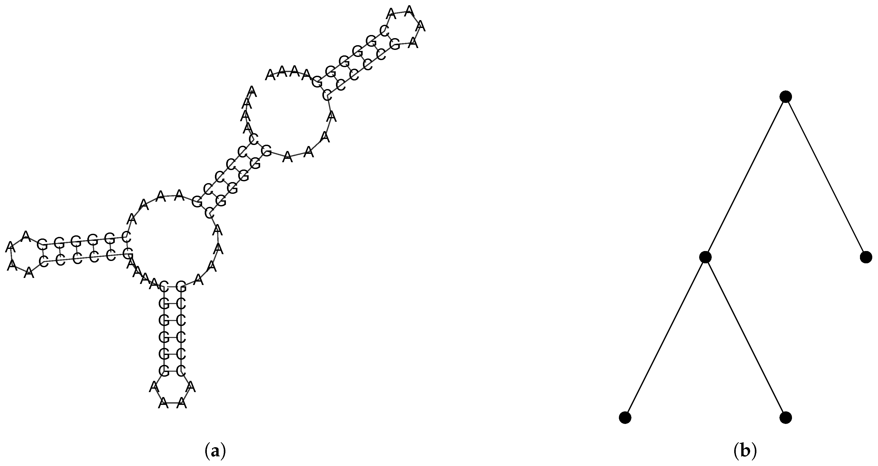 MCA Free Full Text Markov Chain Based Sampling For Exploring RNA MCA Free Full Text Markov Chain Based Sampling For Exploring RNA