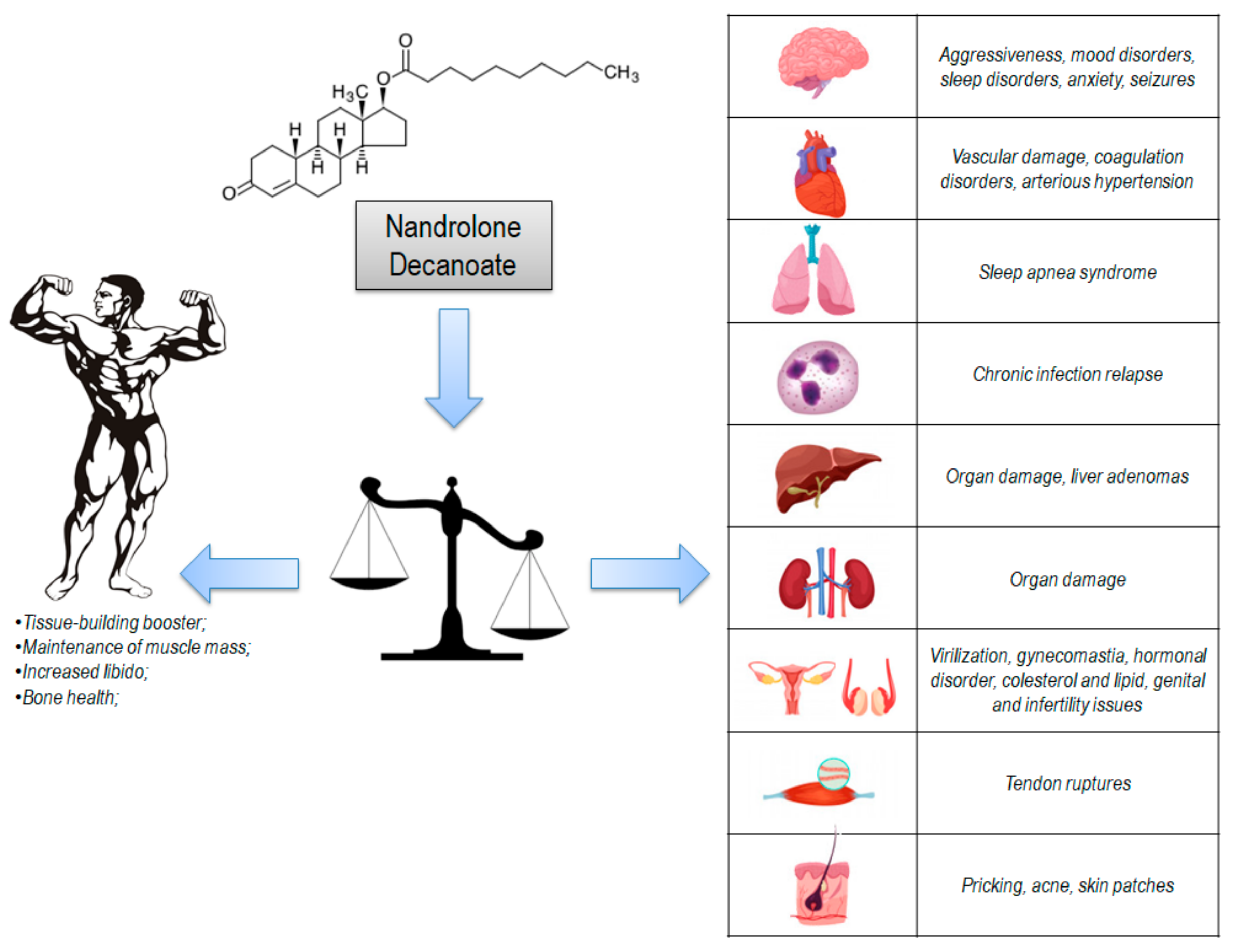 Nandrolone Decanoate: Use Nandrolone Decanoate: Use