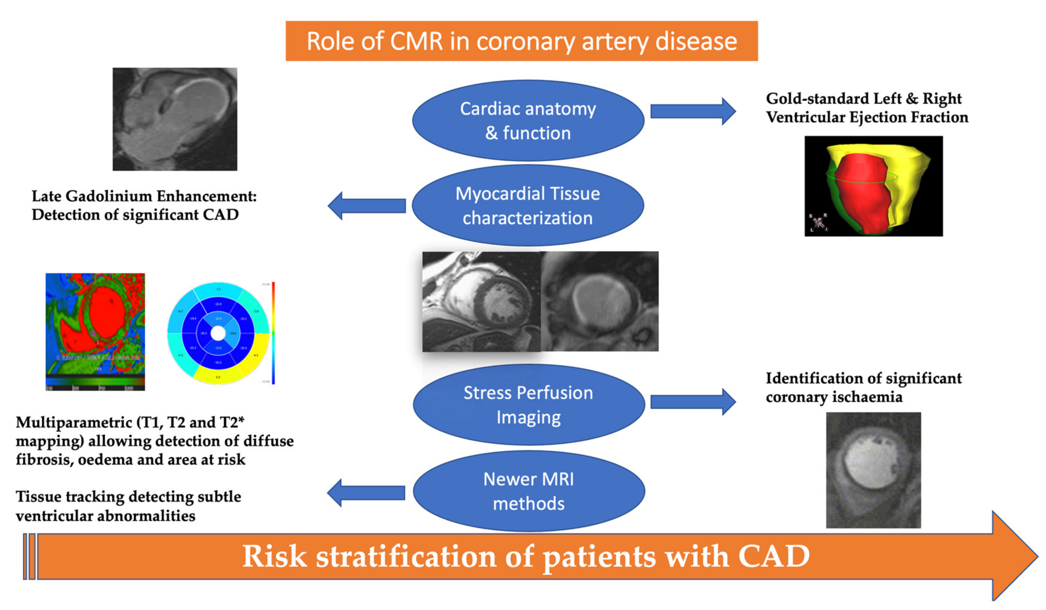 Synslinie Reception frugter Medicina | Free Full-Text | Contemporary Role of Cardiac Magnetic Resonance  in the Management of Patients with Suspected or Known Coronary Artery  Disease