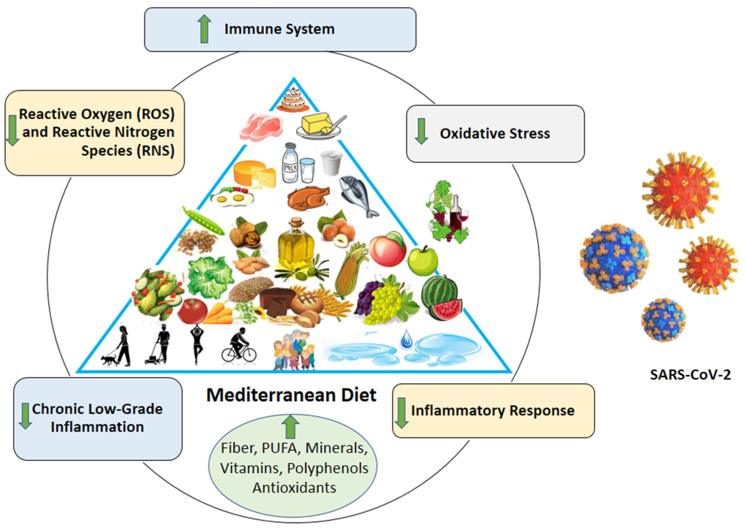 Mediterranean Diet Food Sources