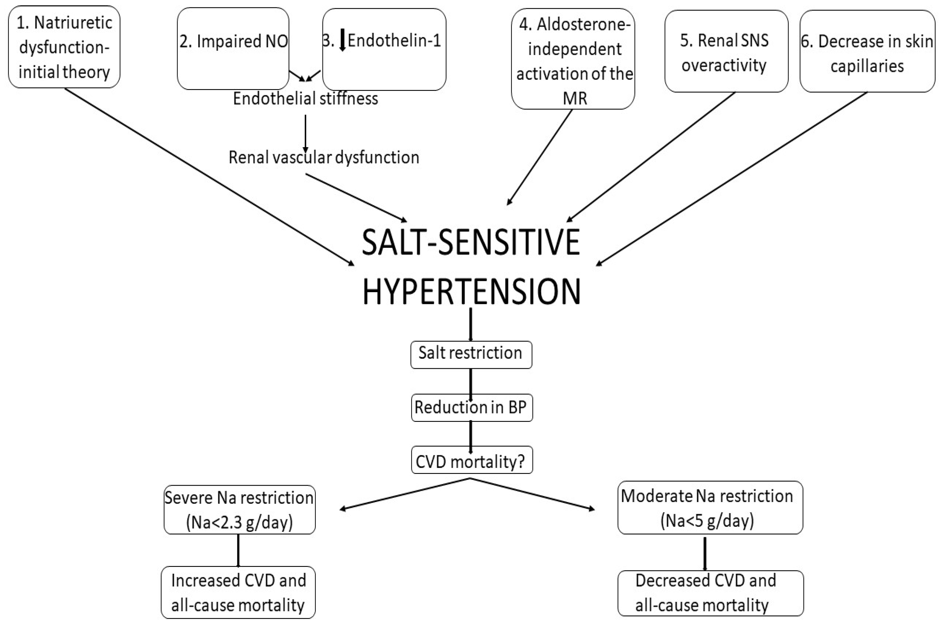 Which Salt is Best for High Blood Pressure? (An Expert View) - Journal of  the American Center for Nutrition