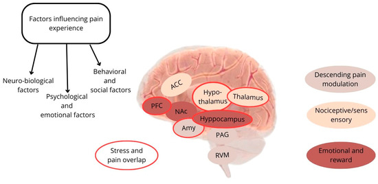 Medicina | Free Full-Text | Psycho-Neuroendocrinology in the ...