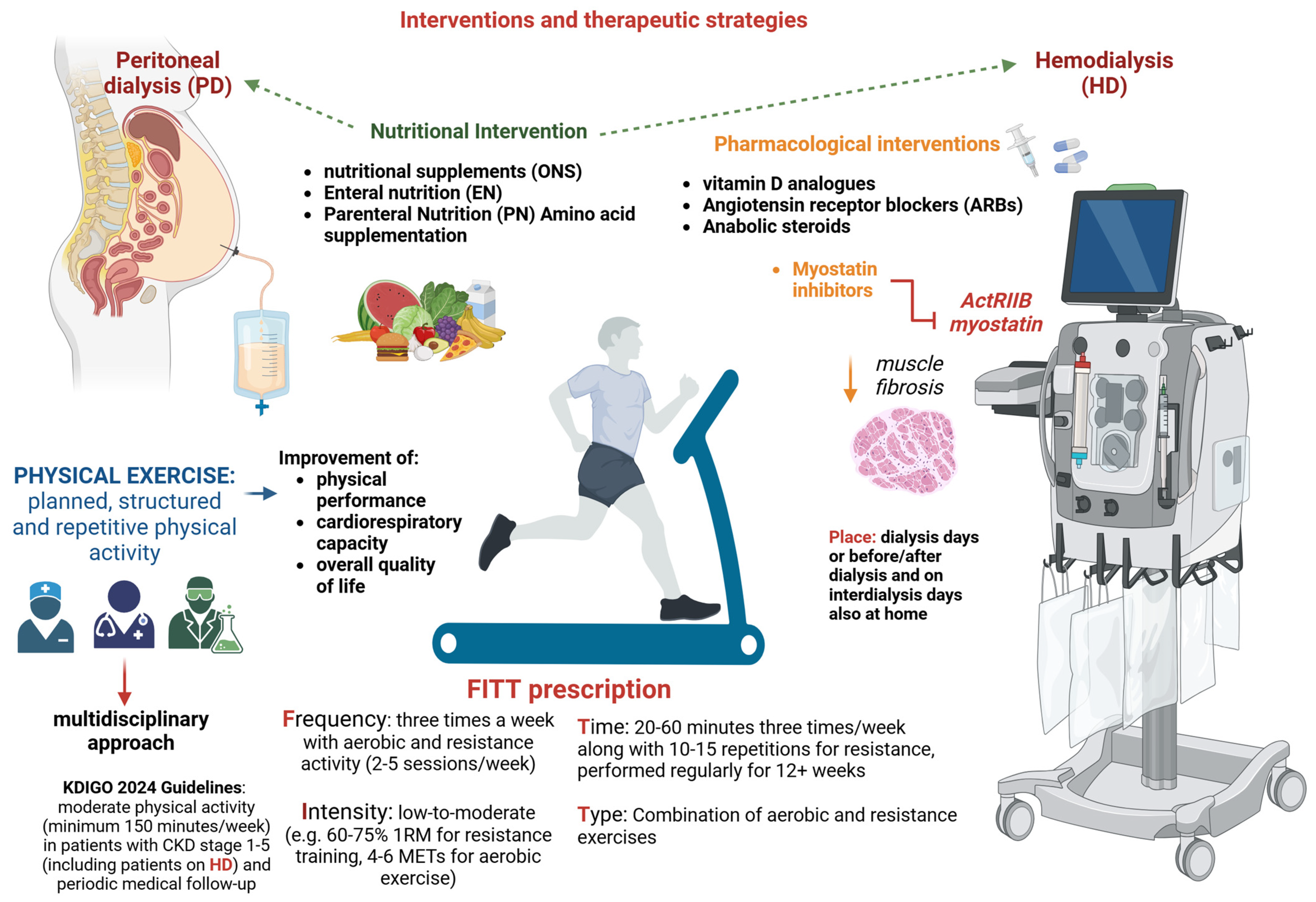 Comprehensive Insights into Sarcopenia in Dialysis Patients: Mechanisms ...