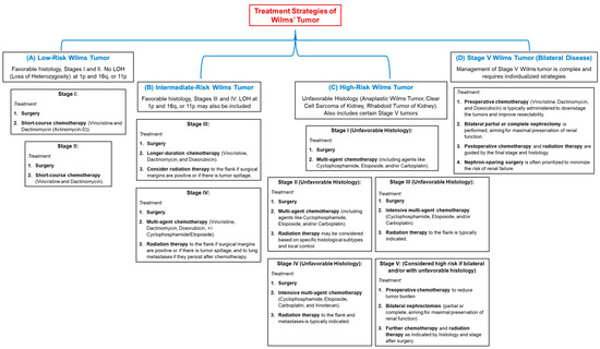 Wilms' Tumor: A Review of Clinical Characteristics