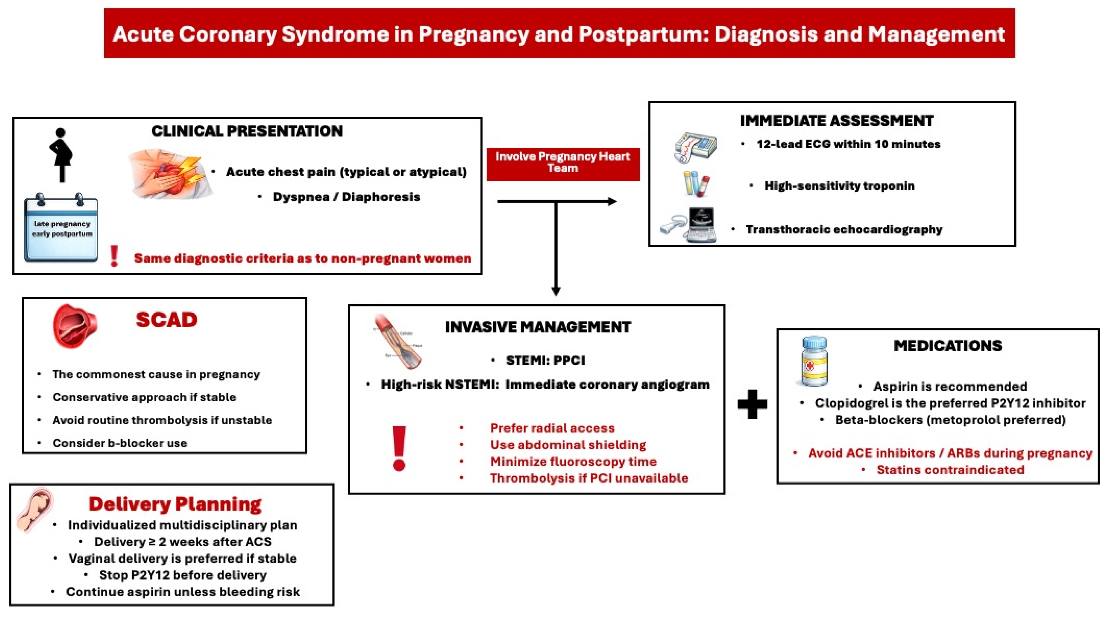 Maternal Cardiovascular Emergencies During Pregnancy and the Puerperium ...