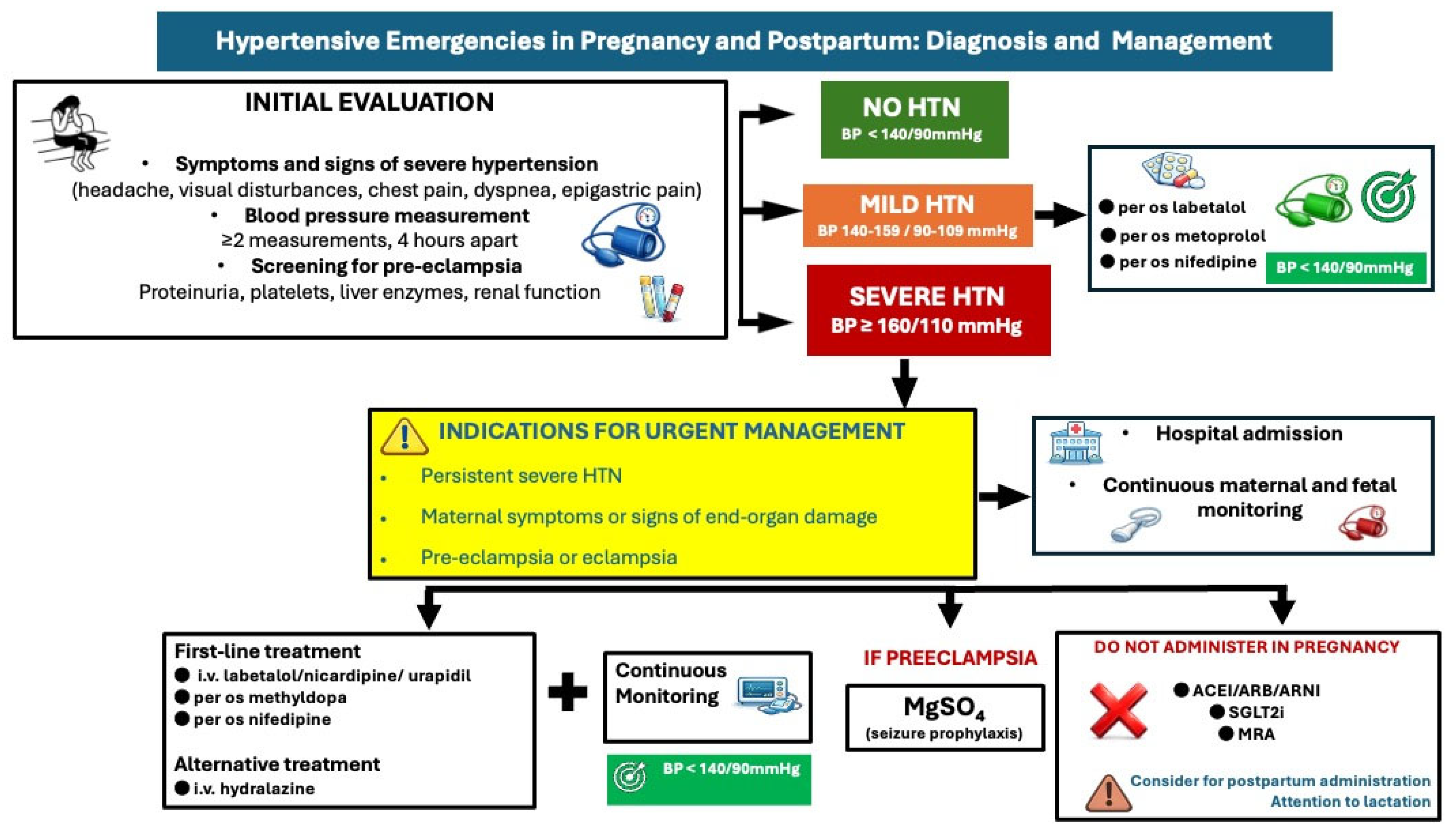 Maternal Cardiovascular Emergencies During Pregnancy and the Puerperium ...