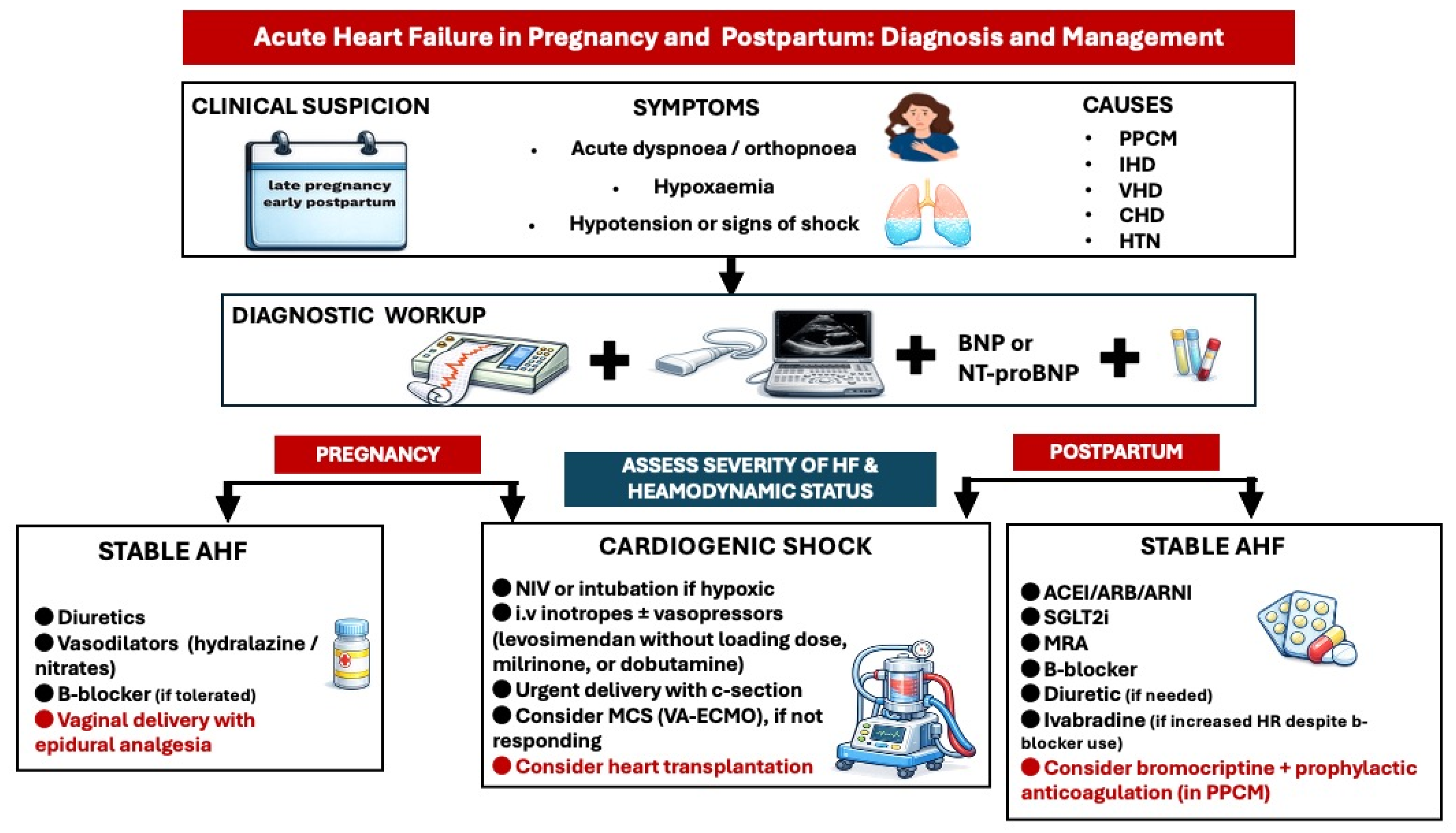 Maternal Cardiovascular Emergencies During Pregnancy and the Puerperium ...