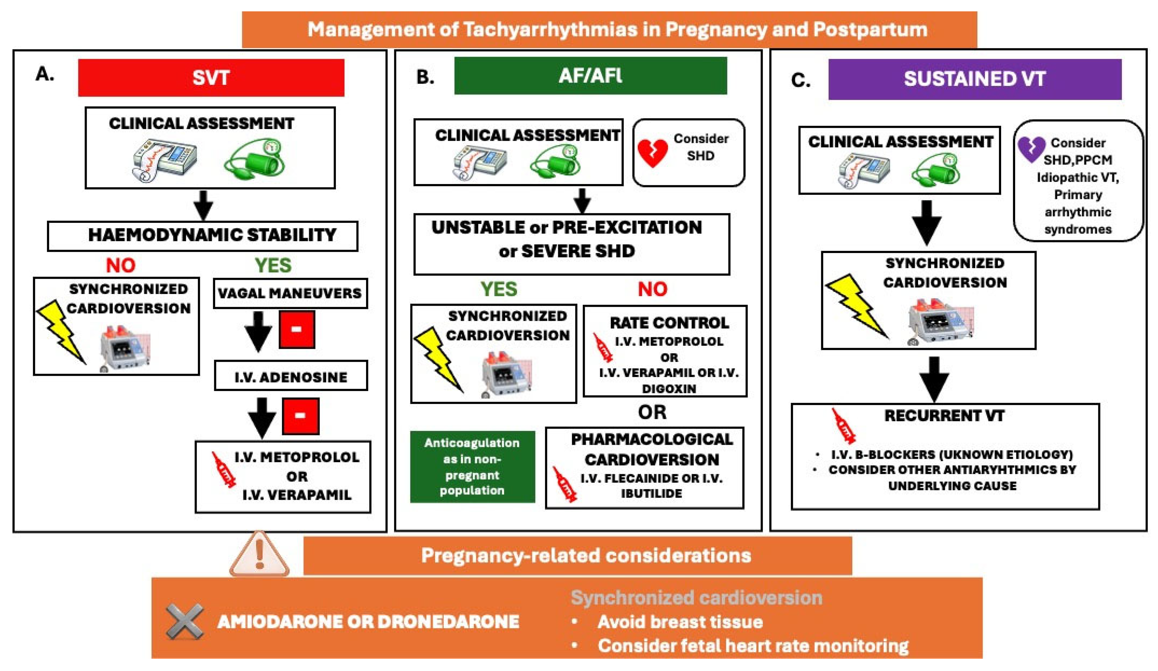Maternal Cardiovascular Emergencies During Pregnancy and the Puerperium ...