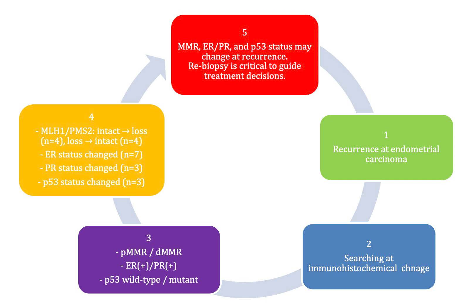 Immunohistochemical Changes in MMR Status, ER/PR, and p53 Expression in ...