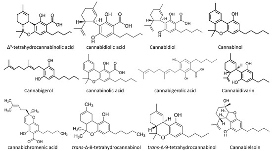 Test de Drogas Doble THC (Marihuana)-Cocaina