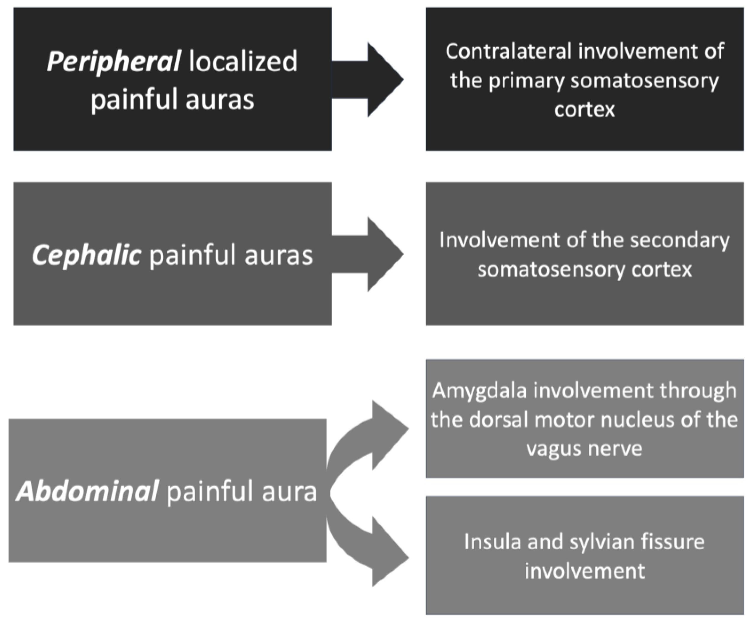 Medicines | Free Full-Text | Somatosensory Auras in Epilepsy: A Narrative Review the Literature
