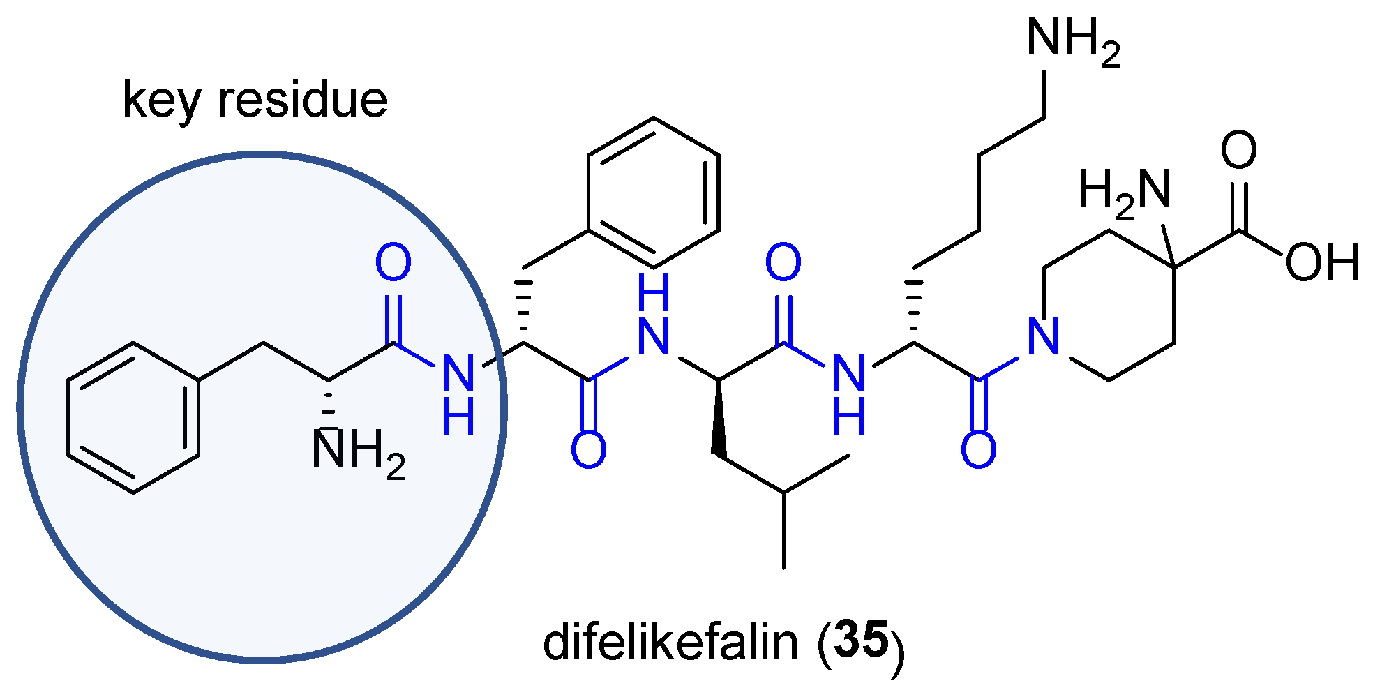 FDA-Approved Drugs Containing Amide Functionality in the Last Five ...
