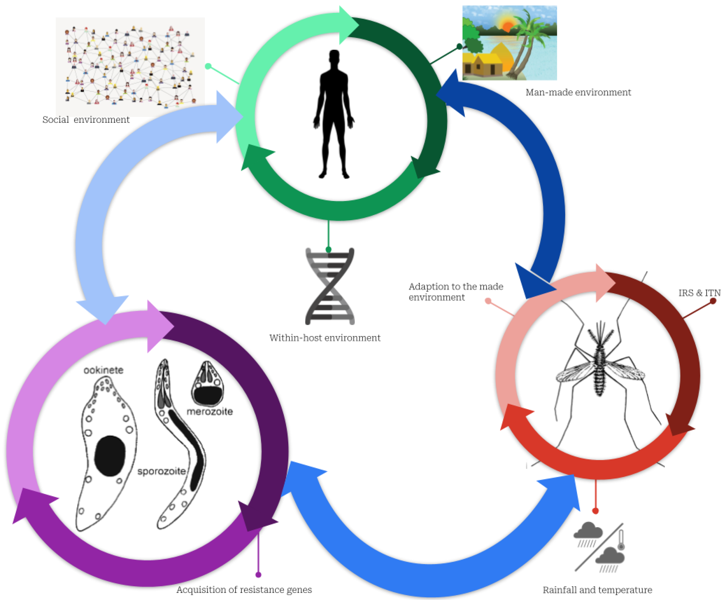 research topic on malaria pdf