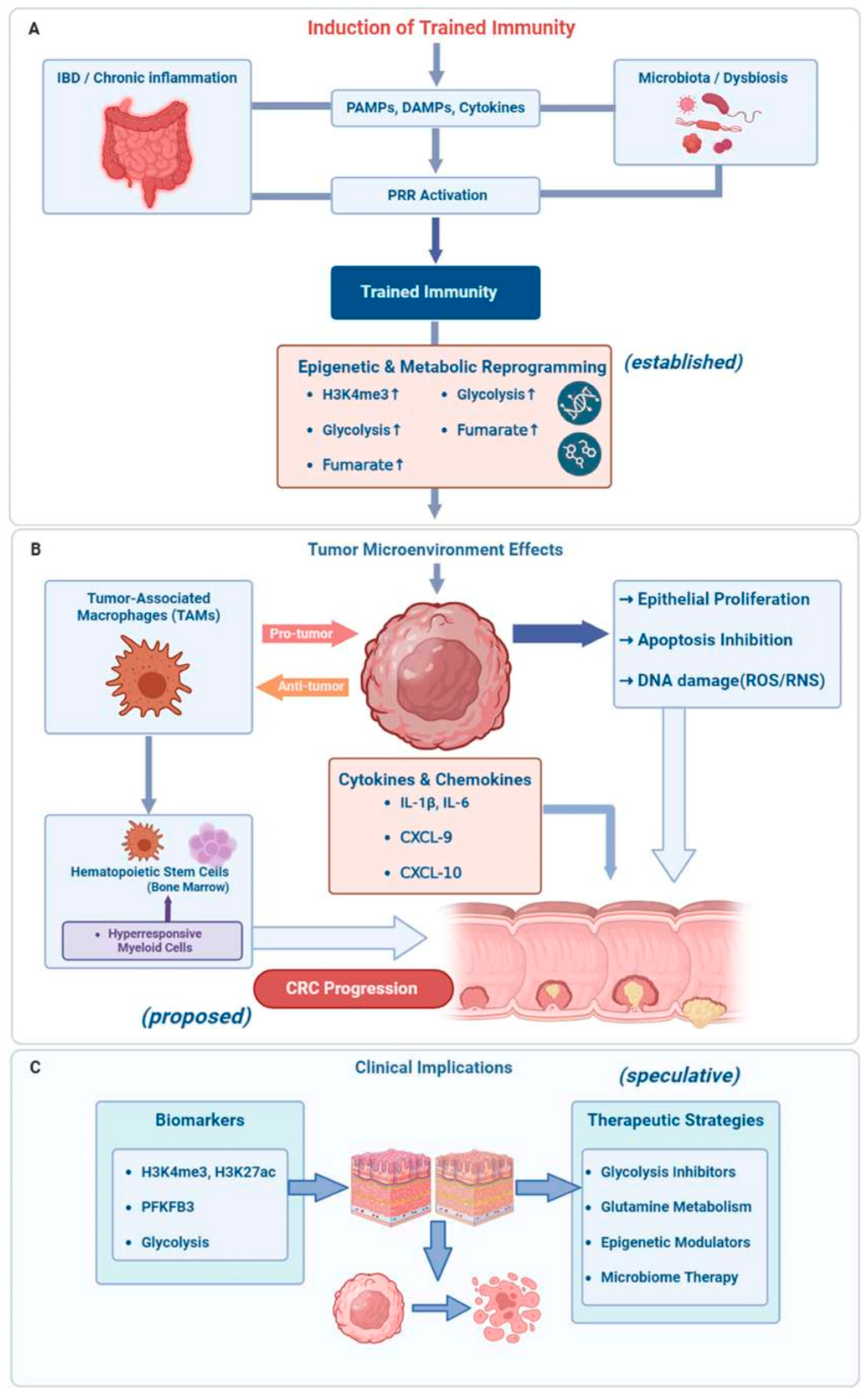 From Chronic Inflammation to Cancer: The Role of Trained Immunity in ...