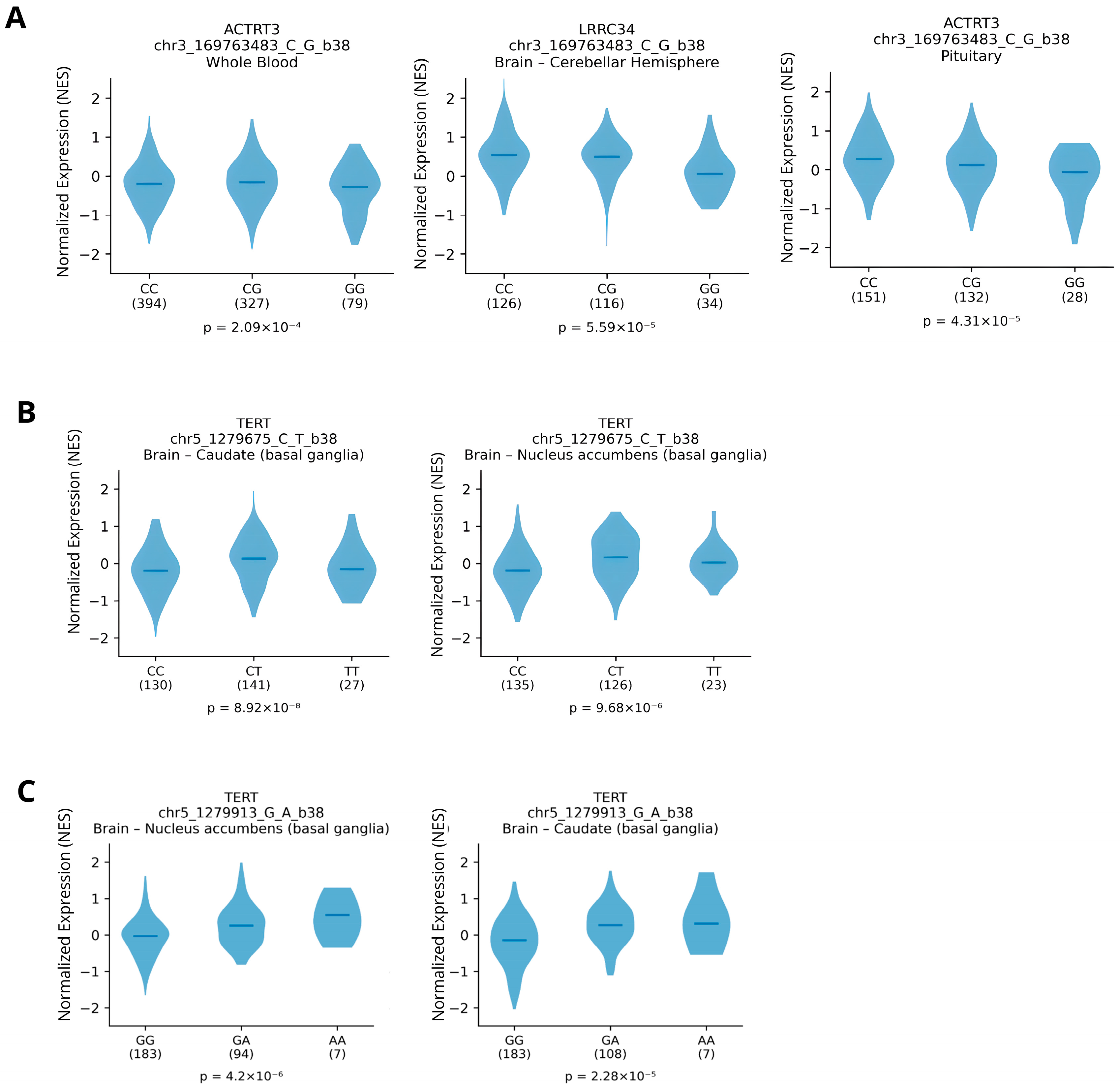 Regulatory Variation at TERT and TERC Shows Limited Association with ...