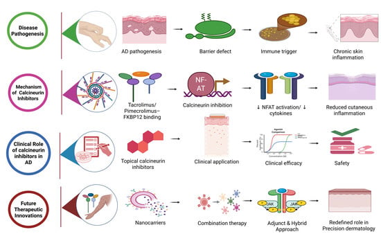 Medical Sciences, Vol. 14, Pages 297: Calcineurin Inhibitors in Atopic Dermatitis: Balancing Tradition with Emerging Therapeutics