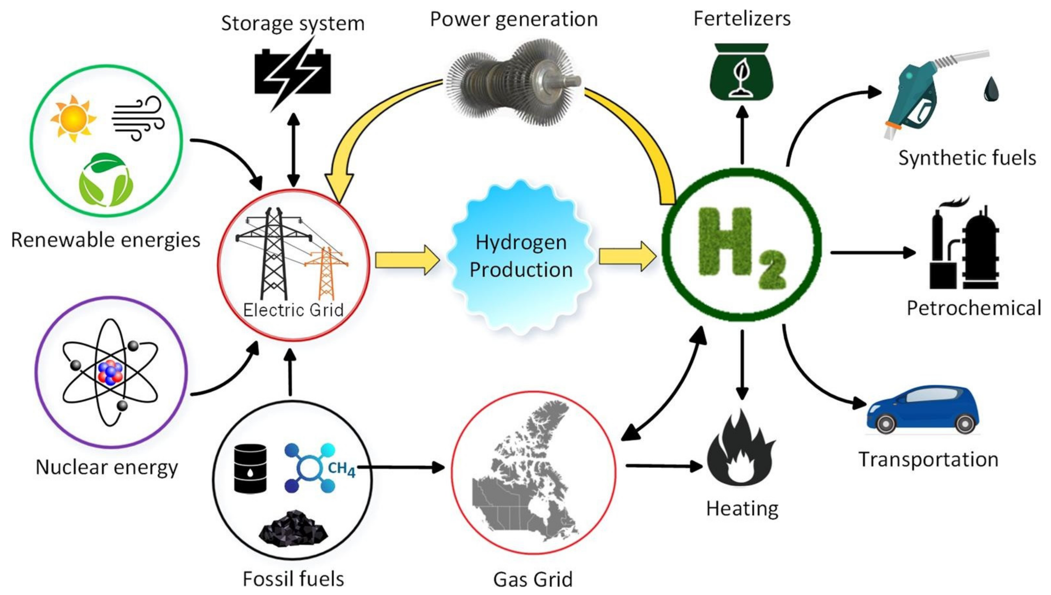 What is bioethanol? How is it made? Basic principle. Future fuel. Renewable  energy. 