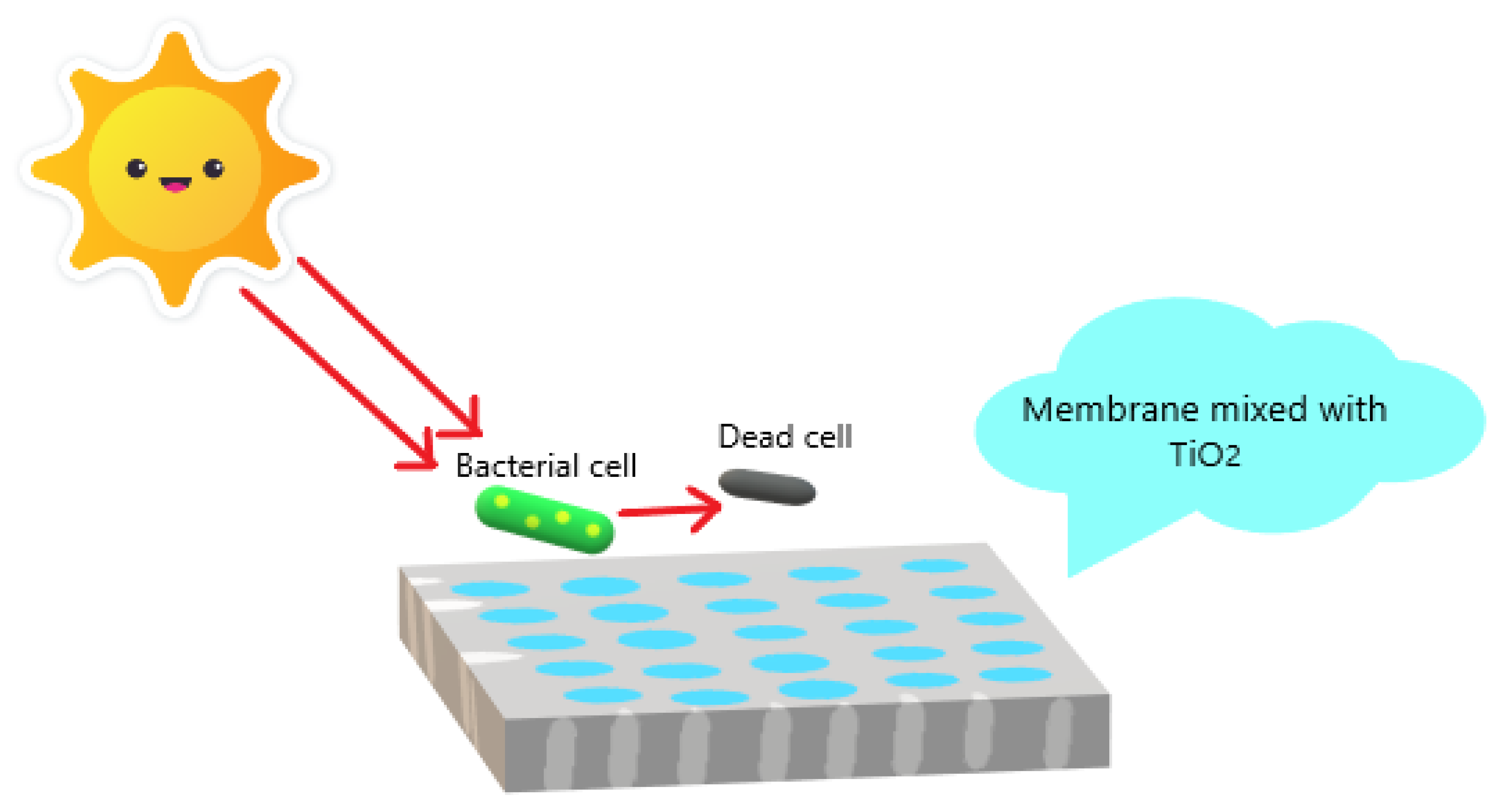 Polymeric antimicrobial membranes enabled by nanomaterials for water  treatment - ScienceDirect