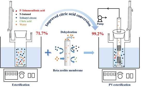 Membranes | Free Full-Text | Improved Esterification of Citric Acid and  n-Butanol Using a Dense and Acid-Resistant Beta Zeolite Membrane