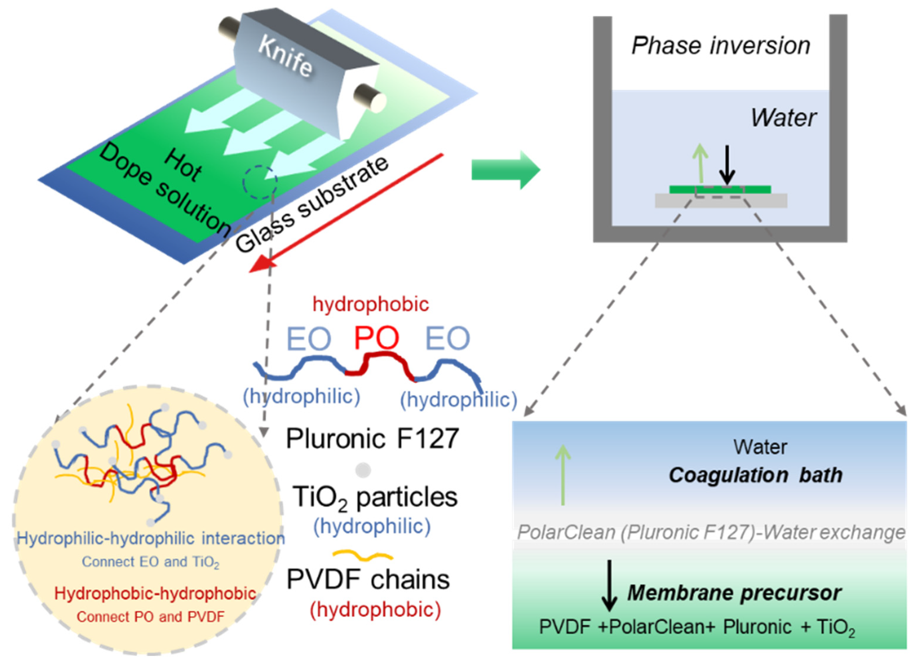 ちな Fabrication of Green PVDF/TiO2 Composite Membrane for Water