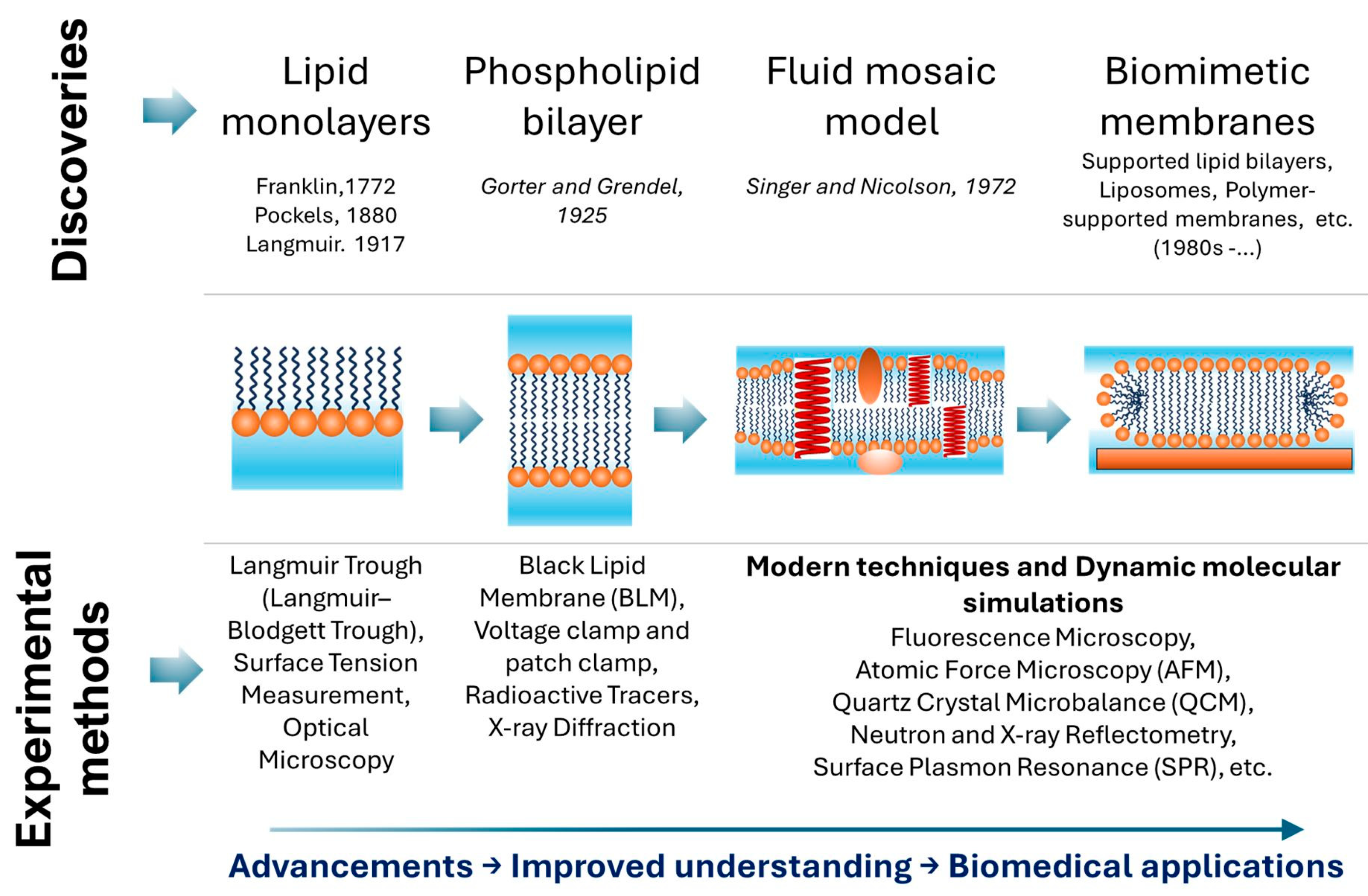 Model Membrane System Interfacial Interactions of Nanoparticles and Molecular Nanostructures ...